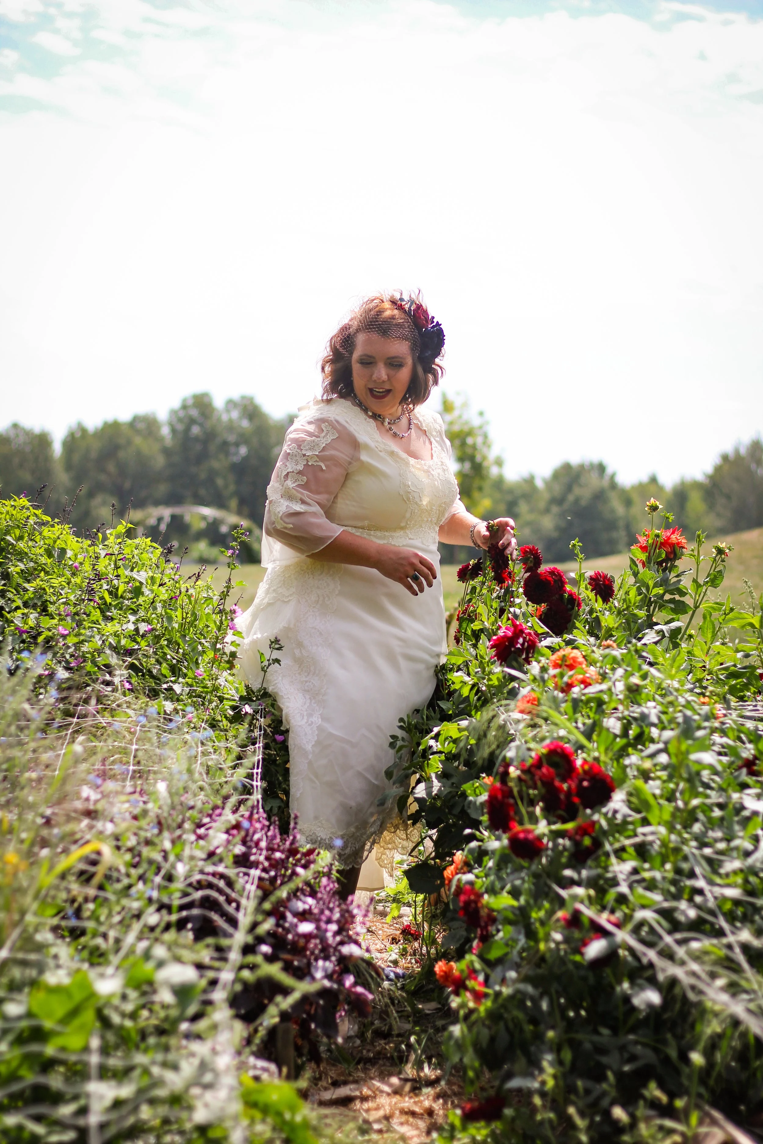 The cutting garden I grew my wedding flowers in