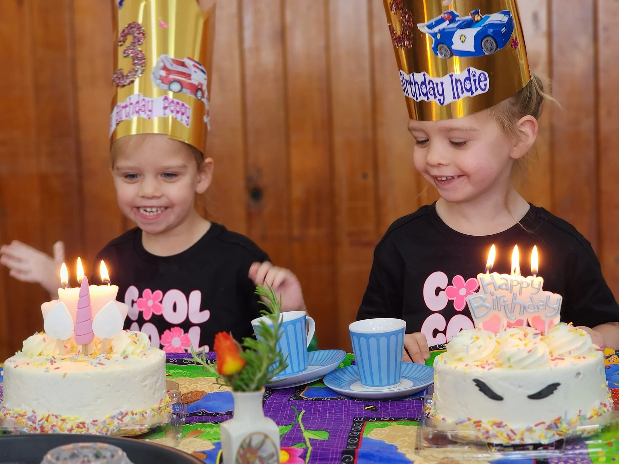 Gisborne ECE Education