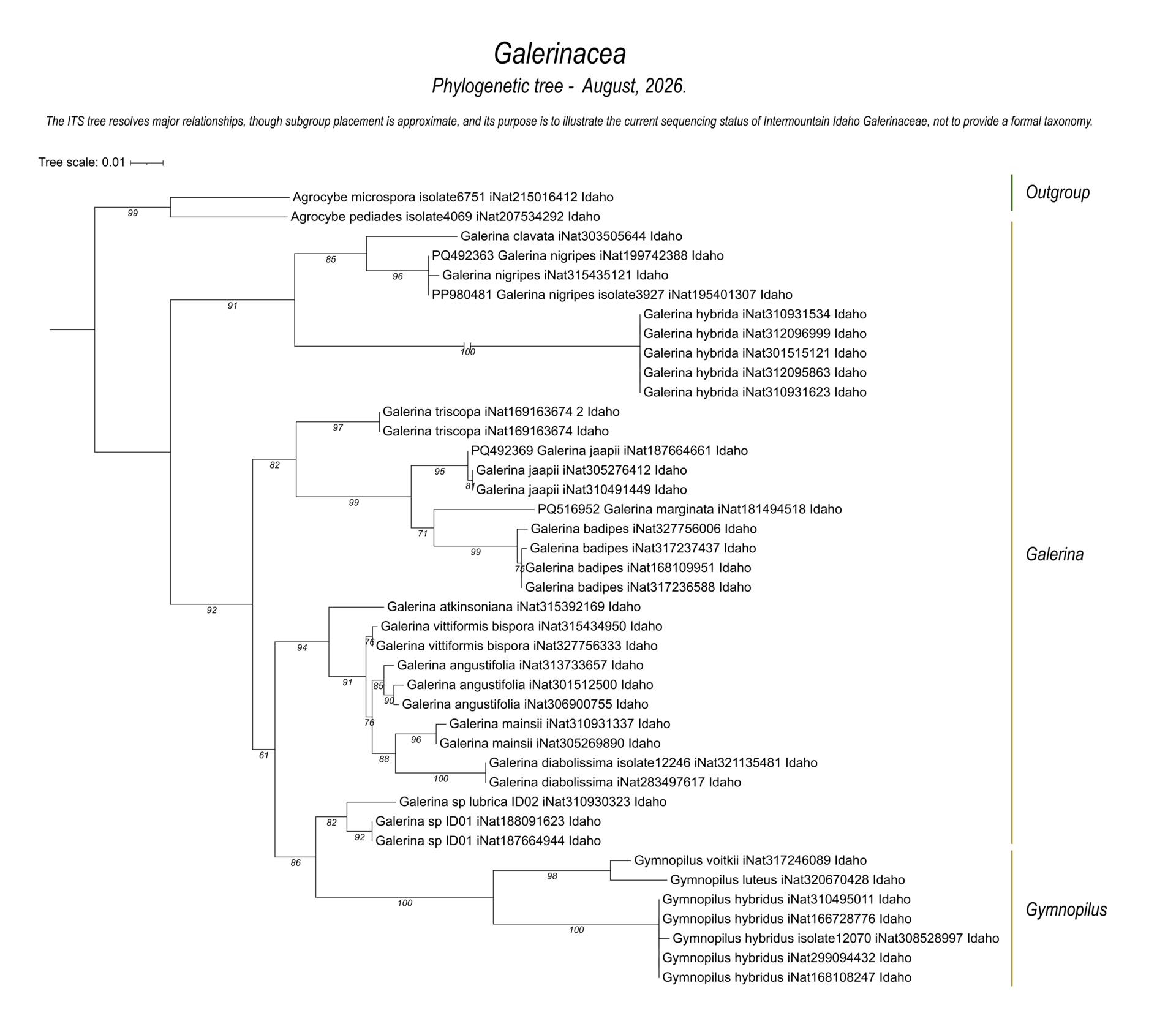 Galerinaceae fungal diversity and species relationships represented by DNA sequences from Intermountain Idaho. Genera represented Galerina and Gymnopilus.