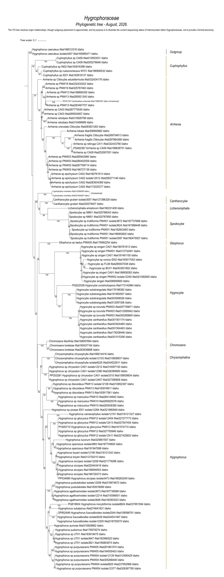Gilled mushrooms of Hygrophoraceae showing fungal diversity and species relationships from Intermountain Idaho collections and DNA sequences.