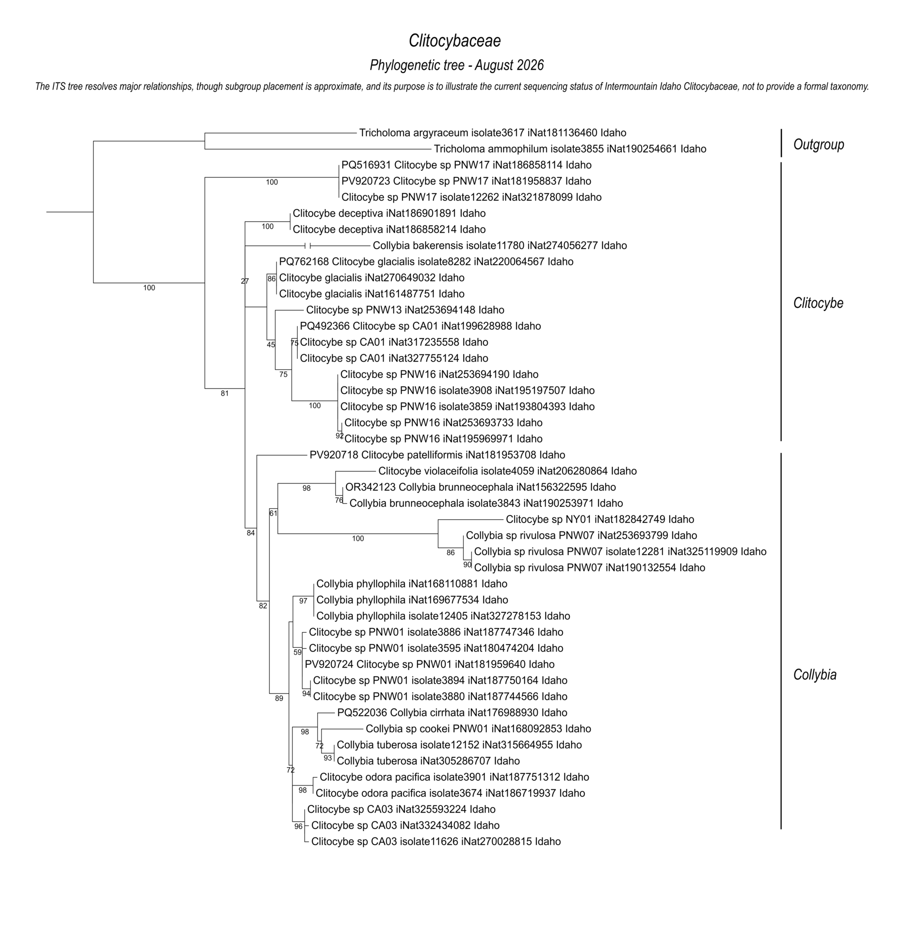 Gilled mushrooms of Clitocybaceae showing species relationships and mushroom identification from Intermountain Idaho collections and DNA sequences.