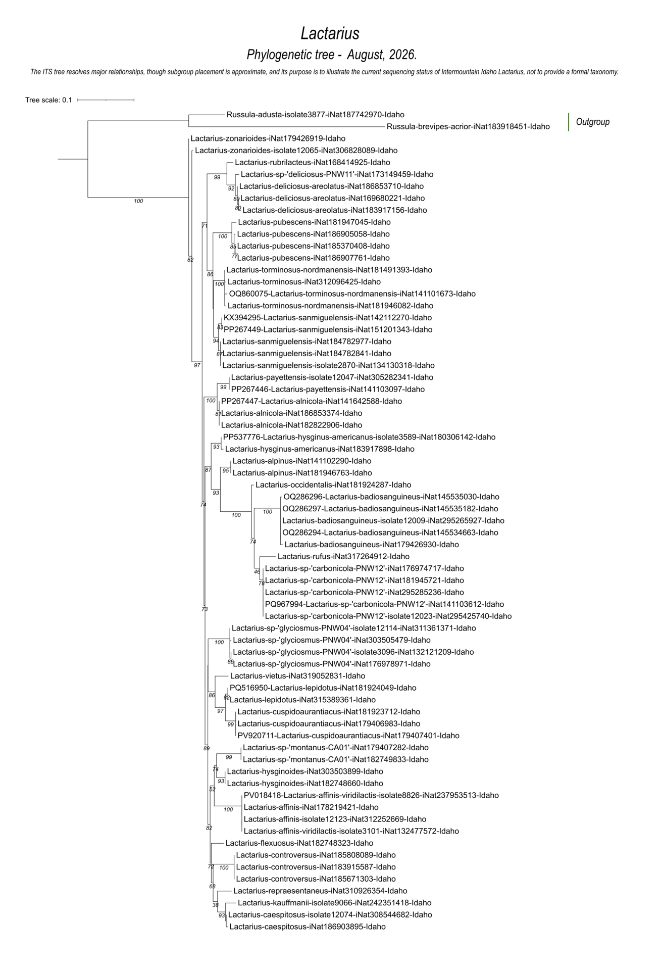 Lactarius mushroom identification and DNA-based species relationships from Intermountain Idaho fungal collections and sequences.