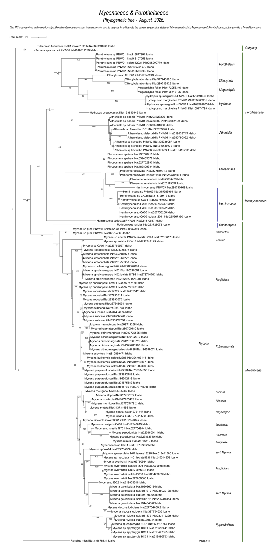 DNA-based fungal diversity and species relationships within Mycenaceae and Porothelaceae from Intermountain Idaho.