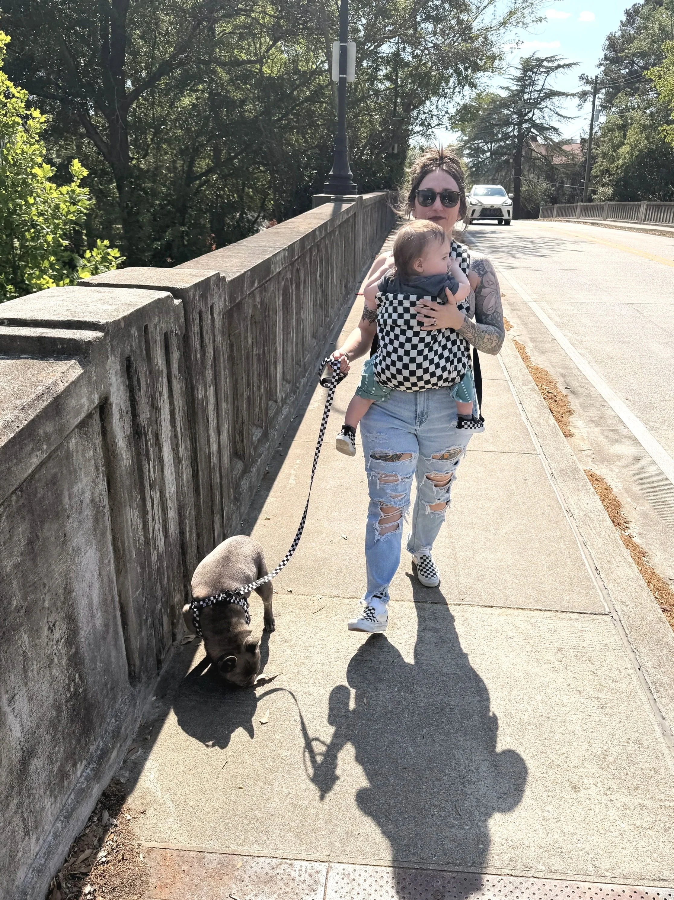 A woman with tattoos and sunglasses walks on a sidewalk holding a baby in a checkered baby carrier. The baby is wearing a gray shirt and shorts, and the woman is wearing ripped jeans and checkered shoes. A dog with a checkered harness walks on a leash nearby. There is a stone wall on the left and trees, a streetlamp, and cars in the background.