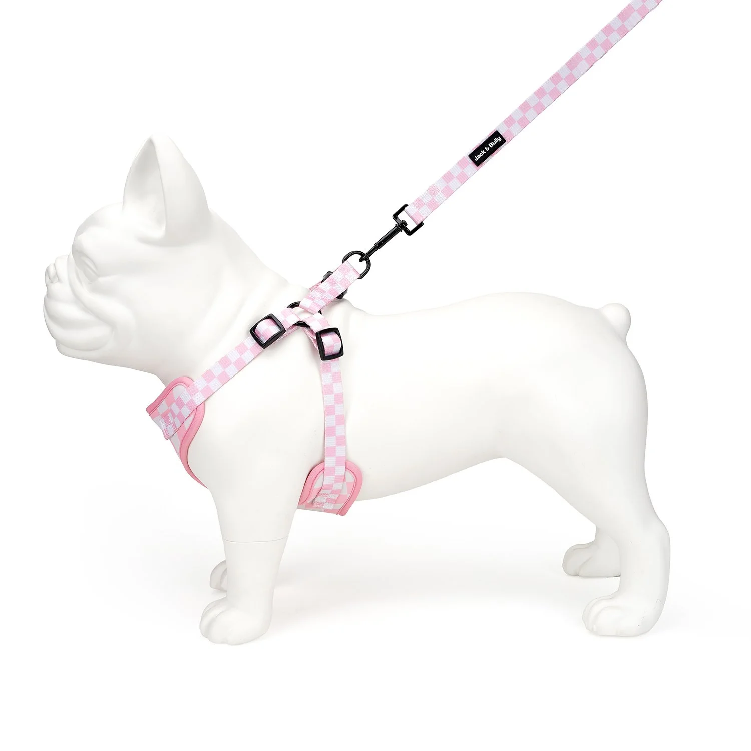 PinkChecker_leashPull.jpg