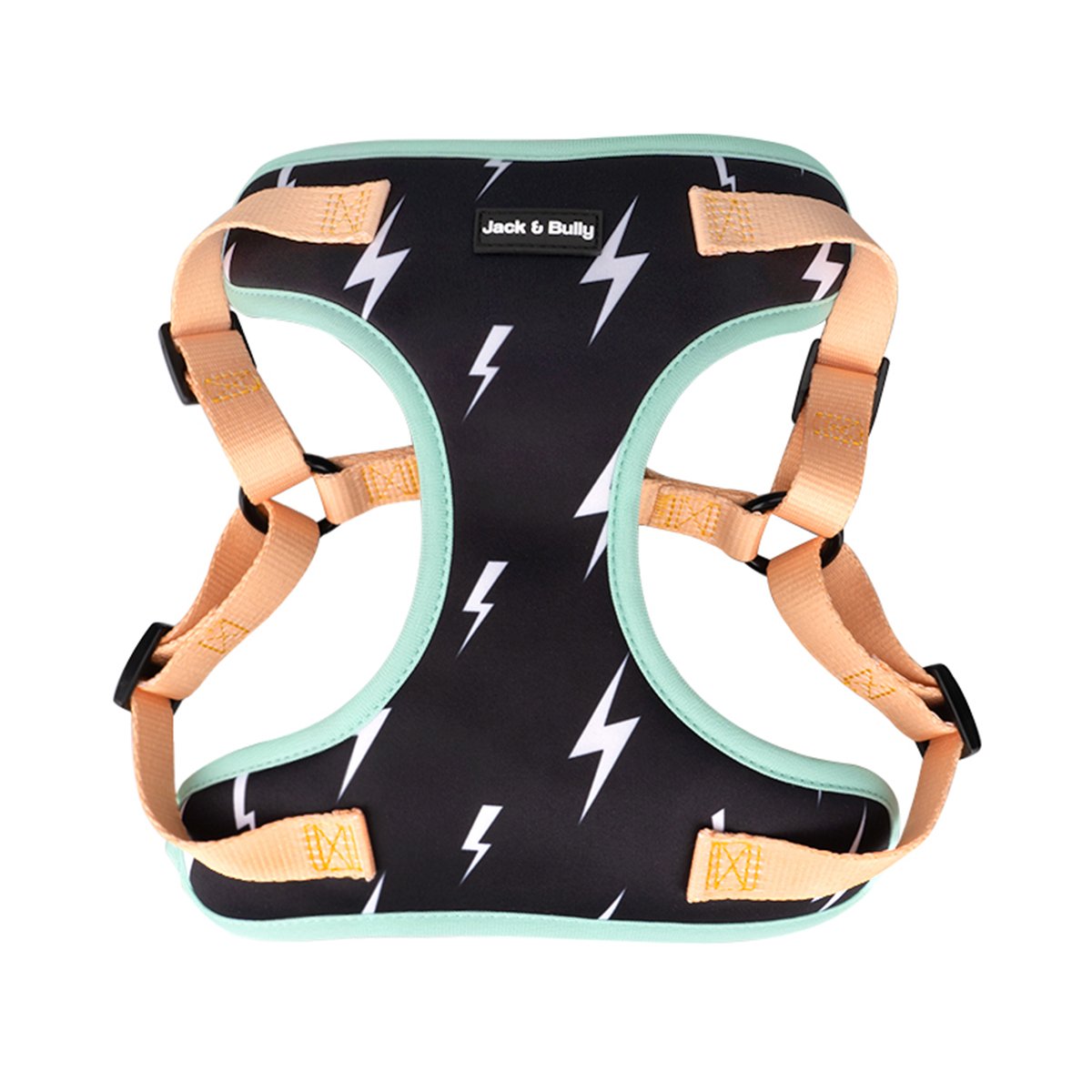 Lightning Harness