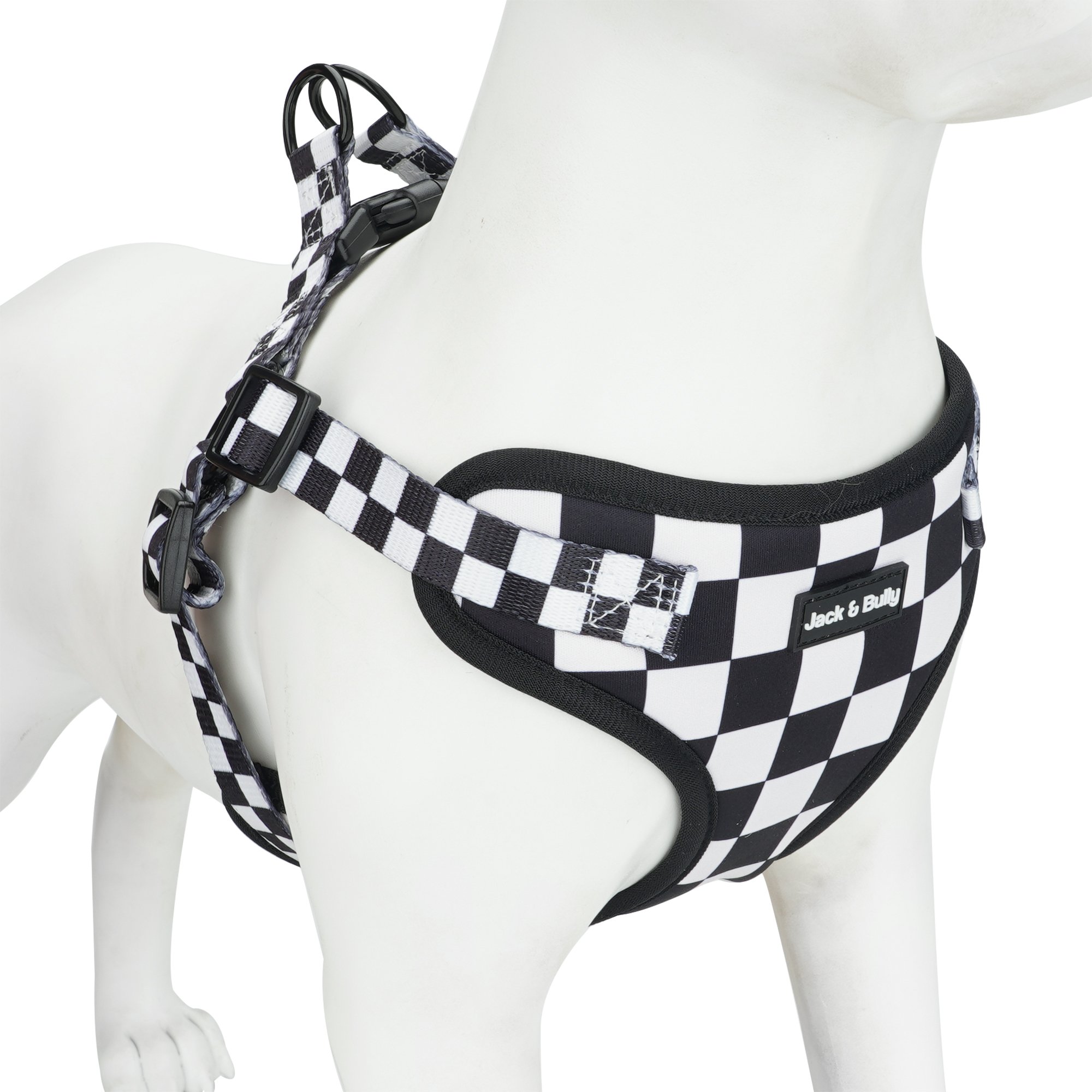 Checkered_onDog.jpg