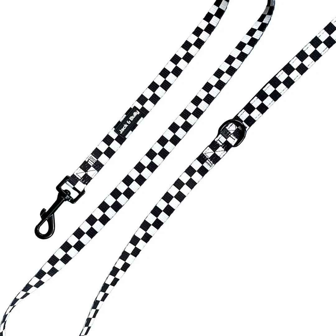 CheckeredLeash-02.jpeg