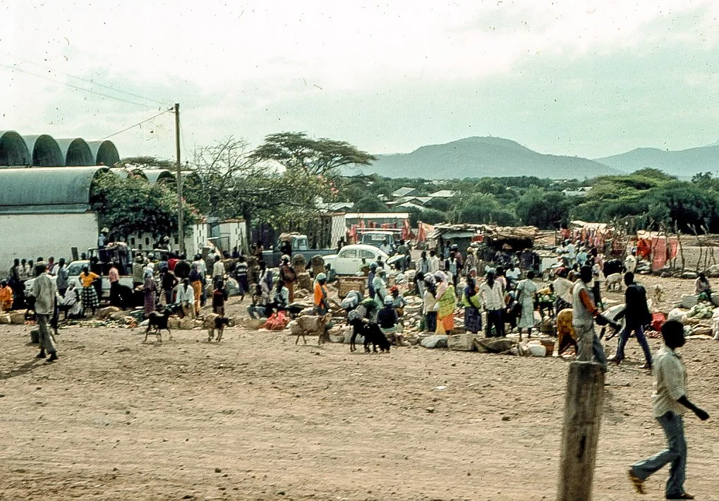 Cruise Ship Waste Management Risks