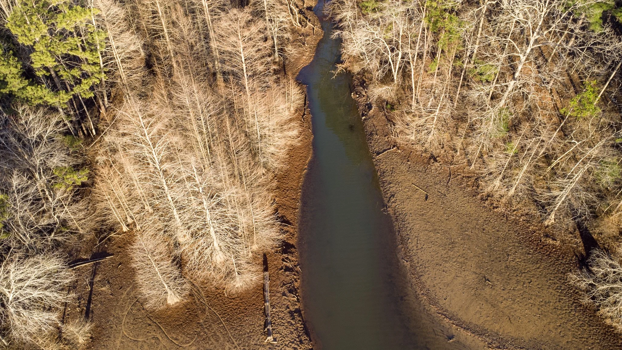 Happy International Wetlands Day!
