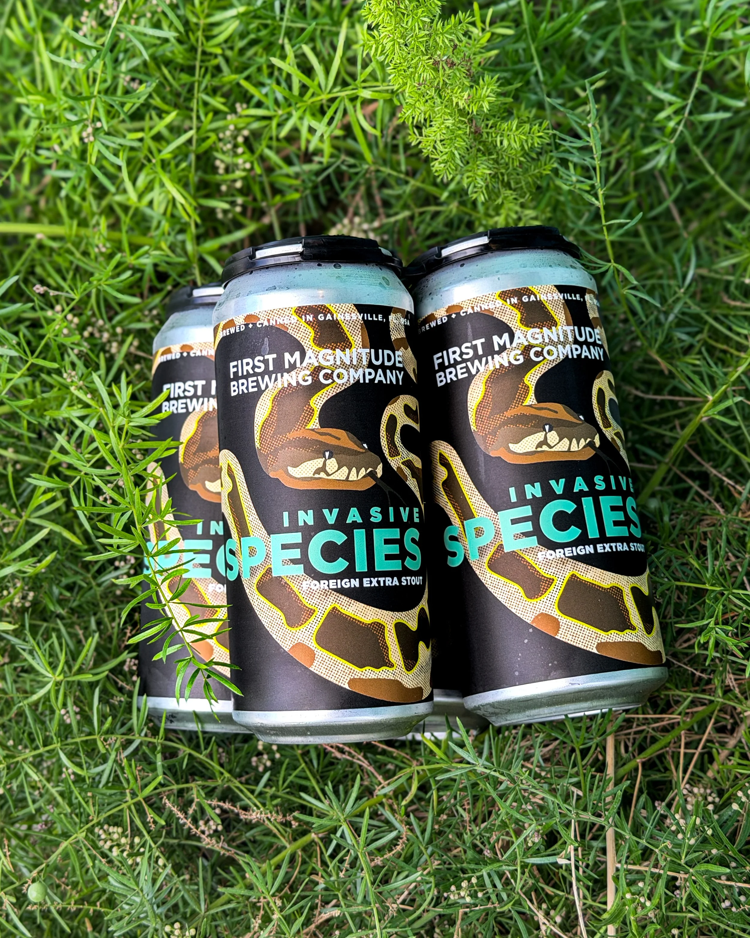 Three cans of invasive species beer placed on grass surrounding with green leaves and small white flowers.