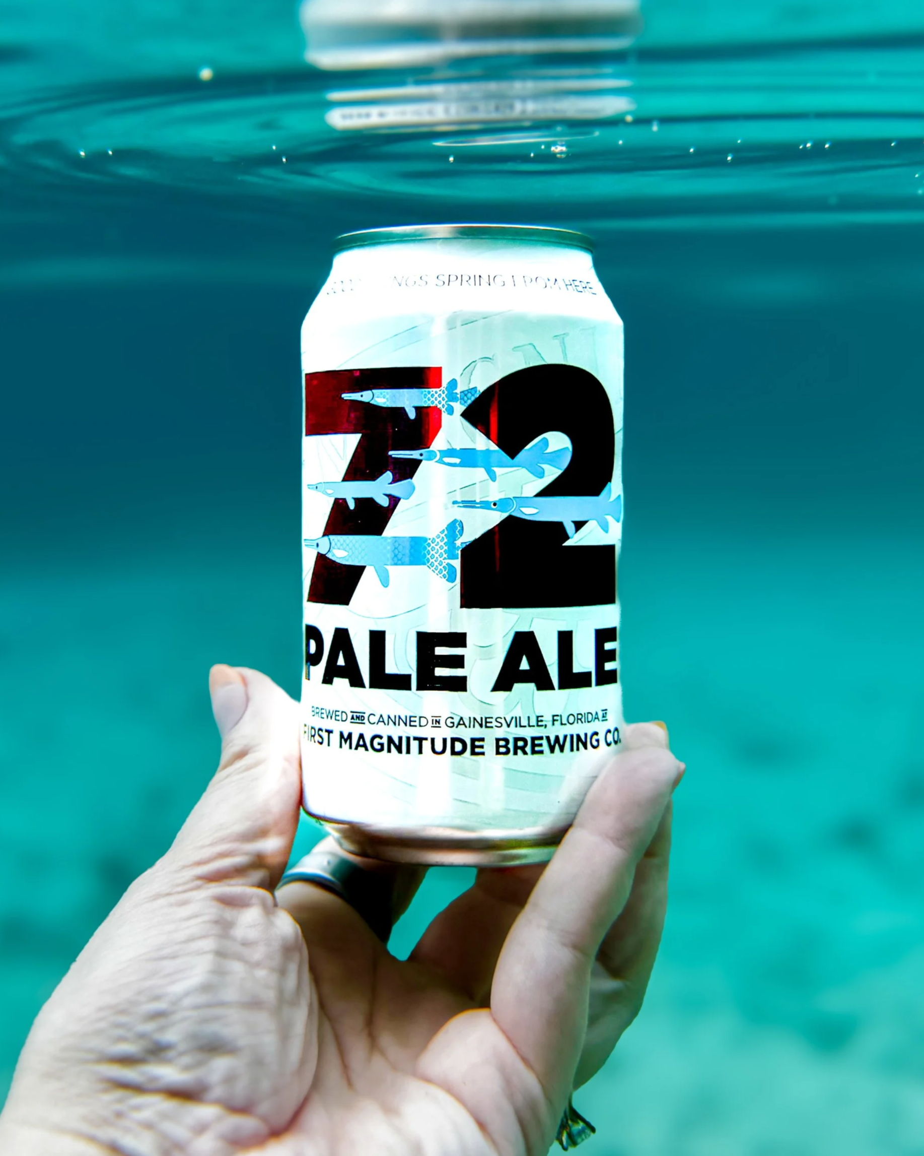 Close-up of a hand holding a can of Pale Ale beer against a blurred outdoor background with water or sky, featuring the label with sharks and bold text.