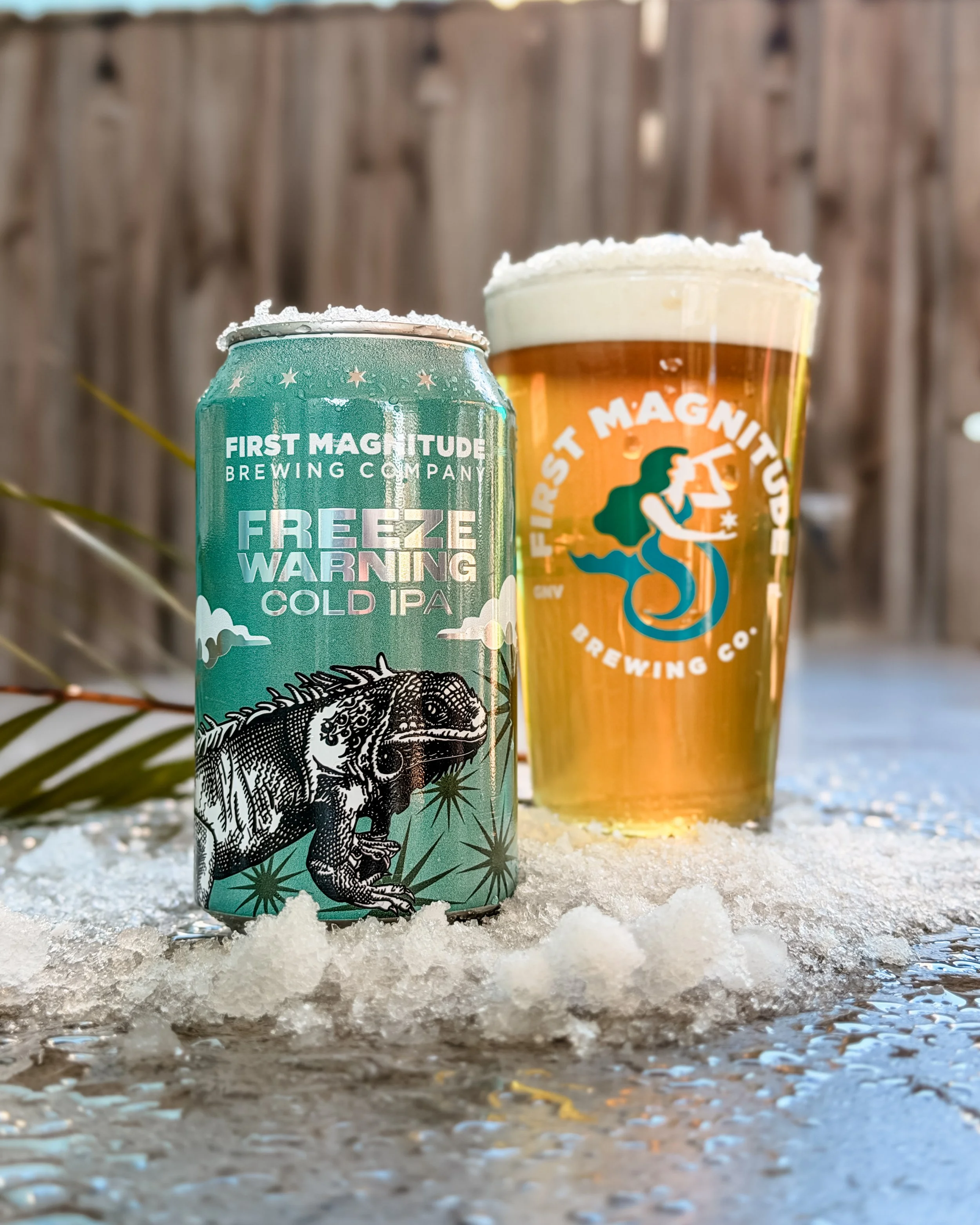 Close-up of a can of First Magnitude Brewing Company's Frosty Warning Cold IPA on snow and a pint glass filled with the beer, foam on top, with the brewery's logo on the glass, in an outdoor setting with a wooden fence in the background.