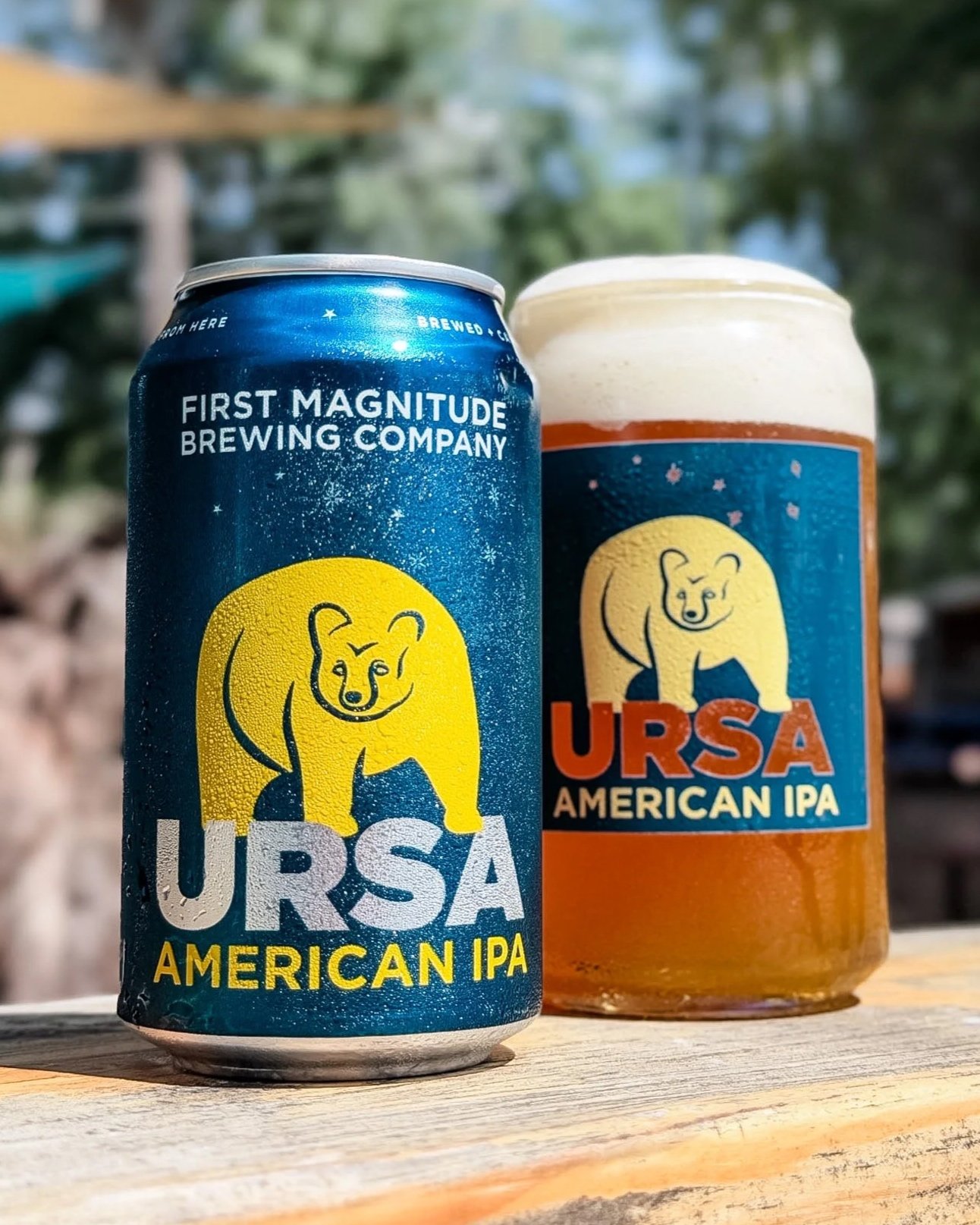 A can and a glass of Ursa American IPA beer outdoors on a wooden surface with trees in the background. The can features a yellow bear illustration and blue background.