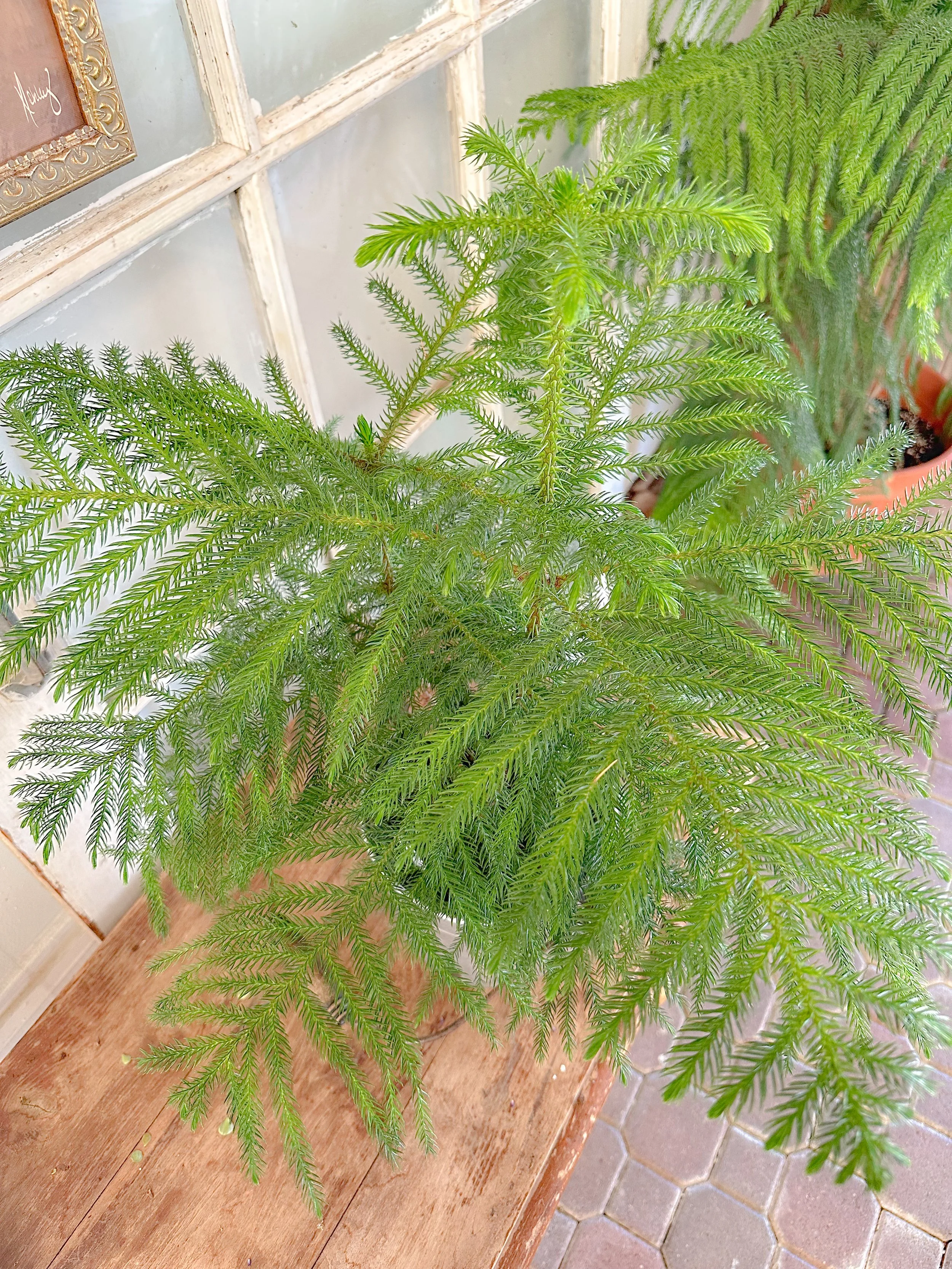 IMG_6501.JPG