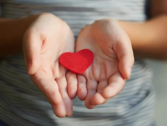 Aucklanders young and old to benefit from ProCare Foundation funding