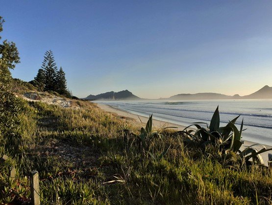 ProCare delighted to be appointed as a Primary Health Organisation in Northland