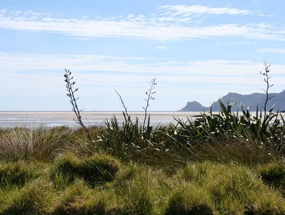 Integrated Primary Care Paramedicine on Aotea Great Barrier Island