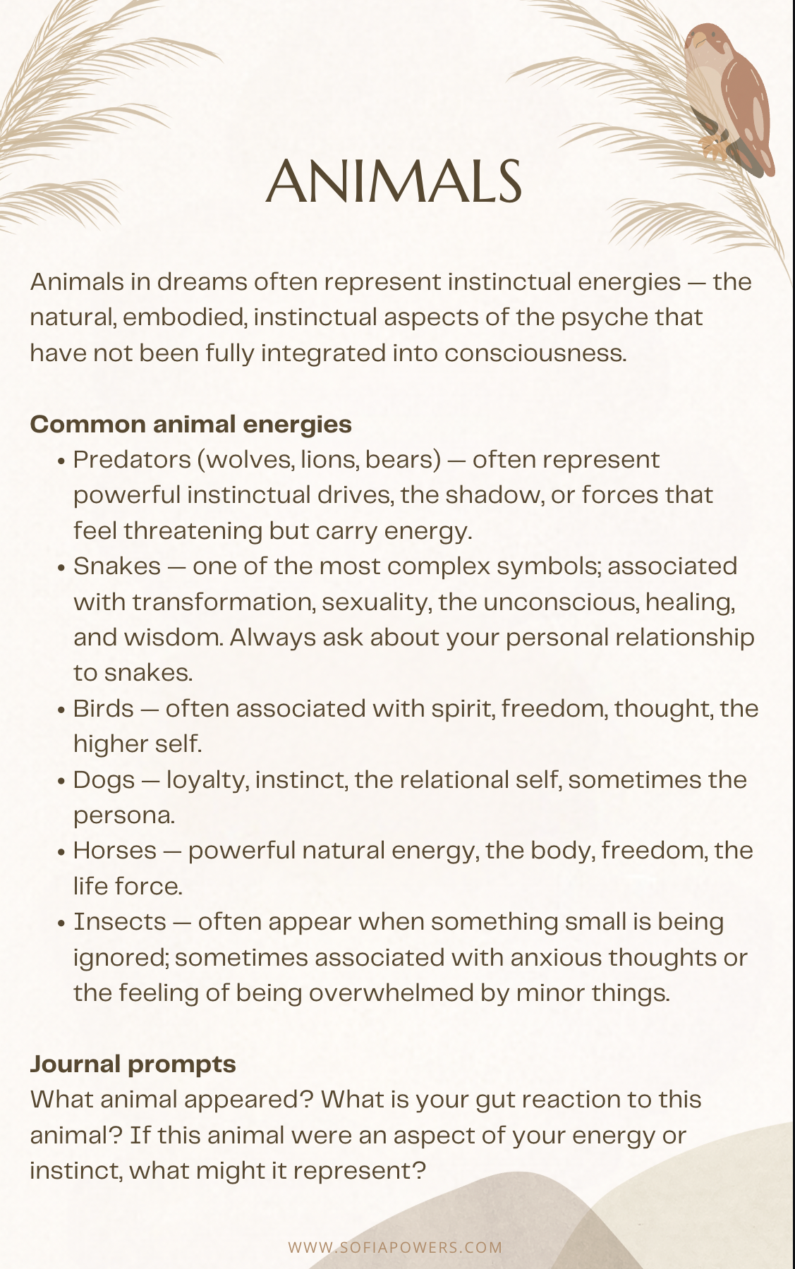 Jung ebook animals.png