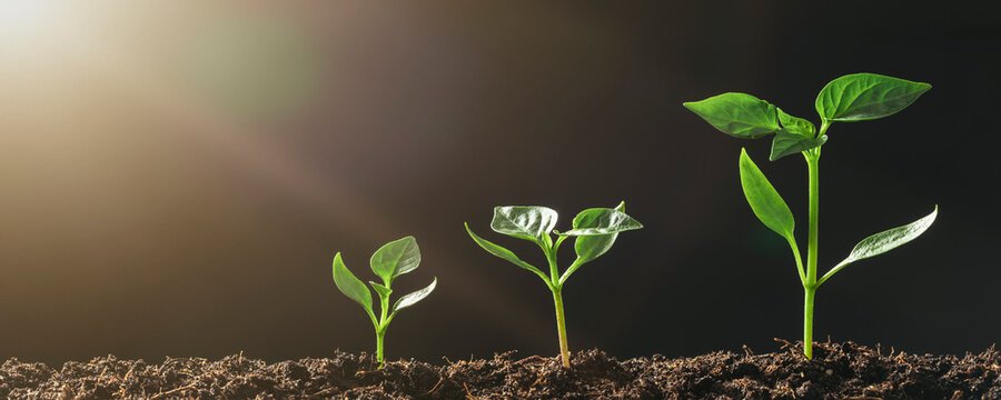 how science and the bible  work together