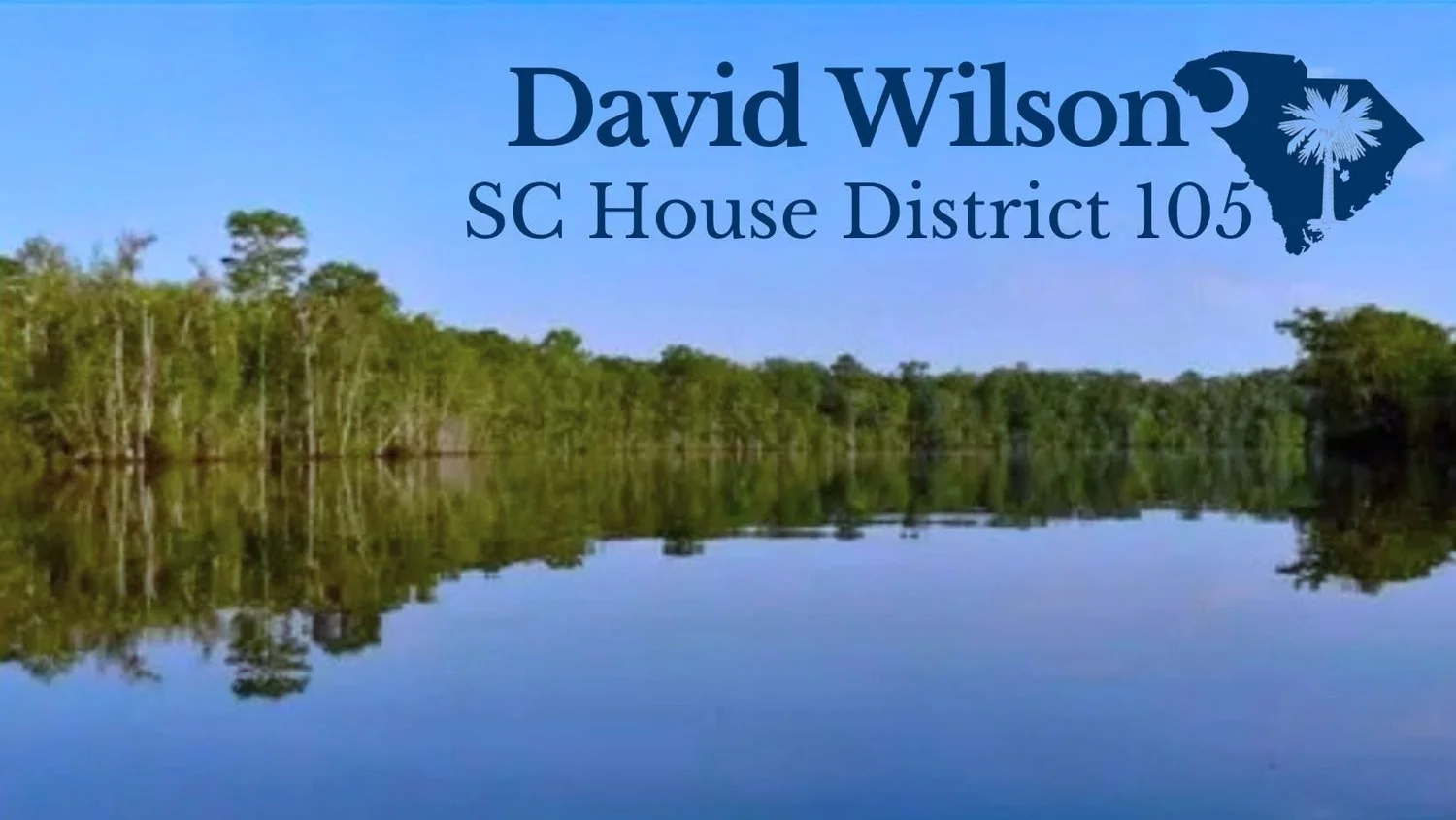 David Wilson SC House District 105