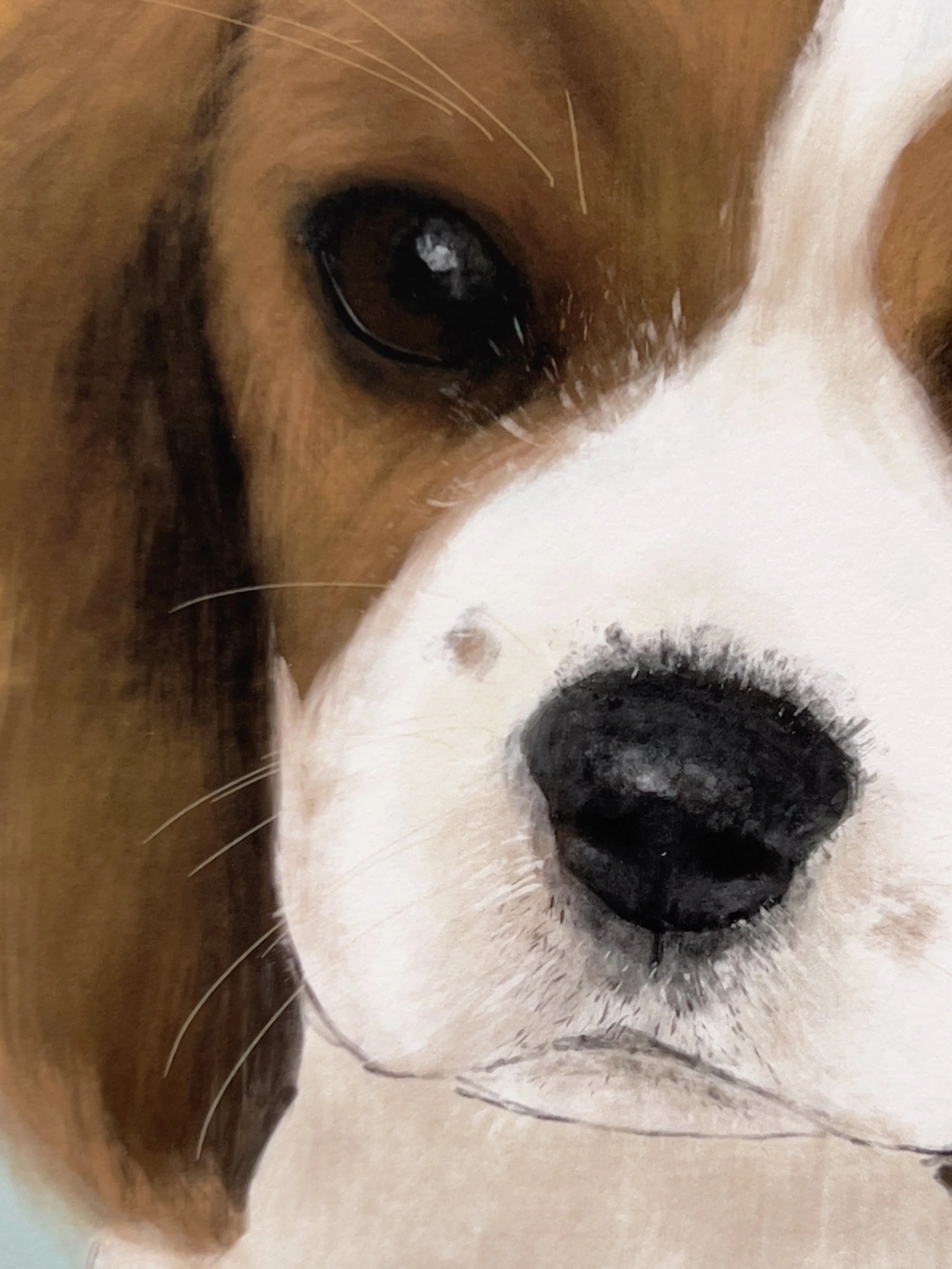 custom-dog-portrait-a3-king-charles-cavalier-painted.jpg