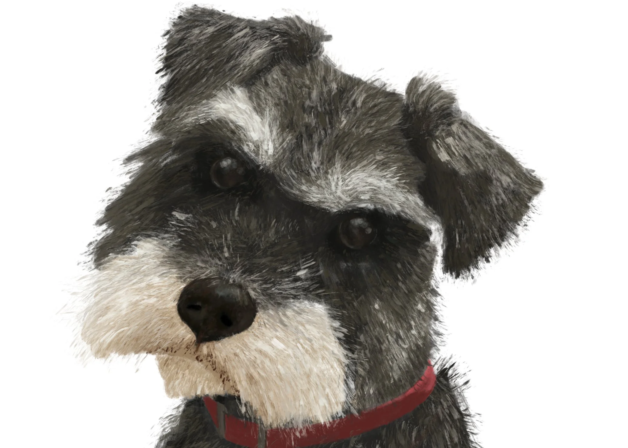 Hand‑drawn custom dog portrait, archival fine art print on cotton rag paper, made in Brunswick Melbourne.