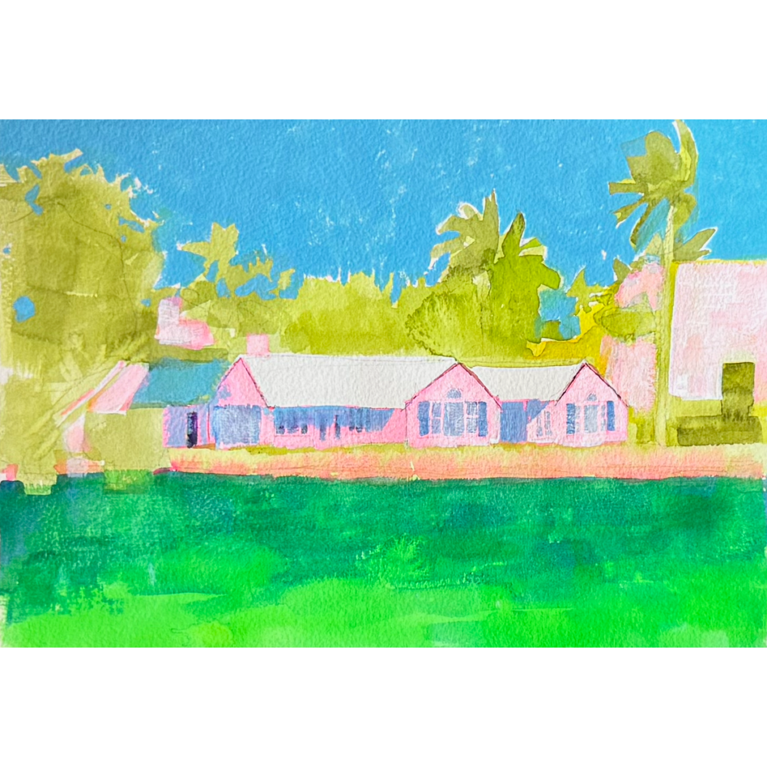 Pink House IV
