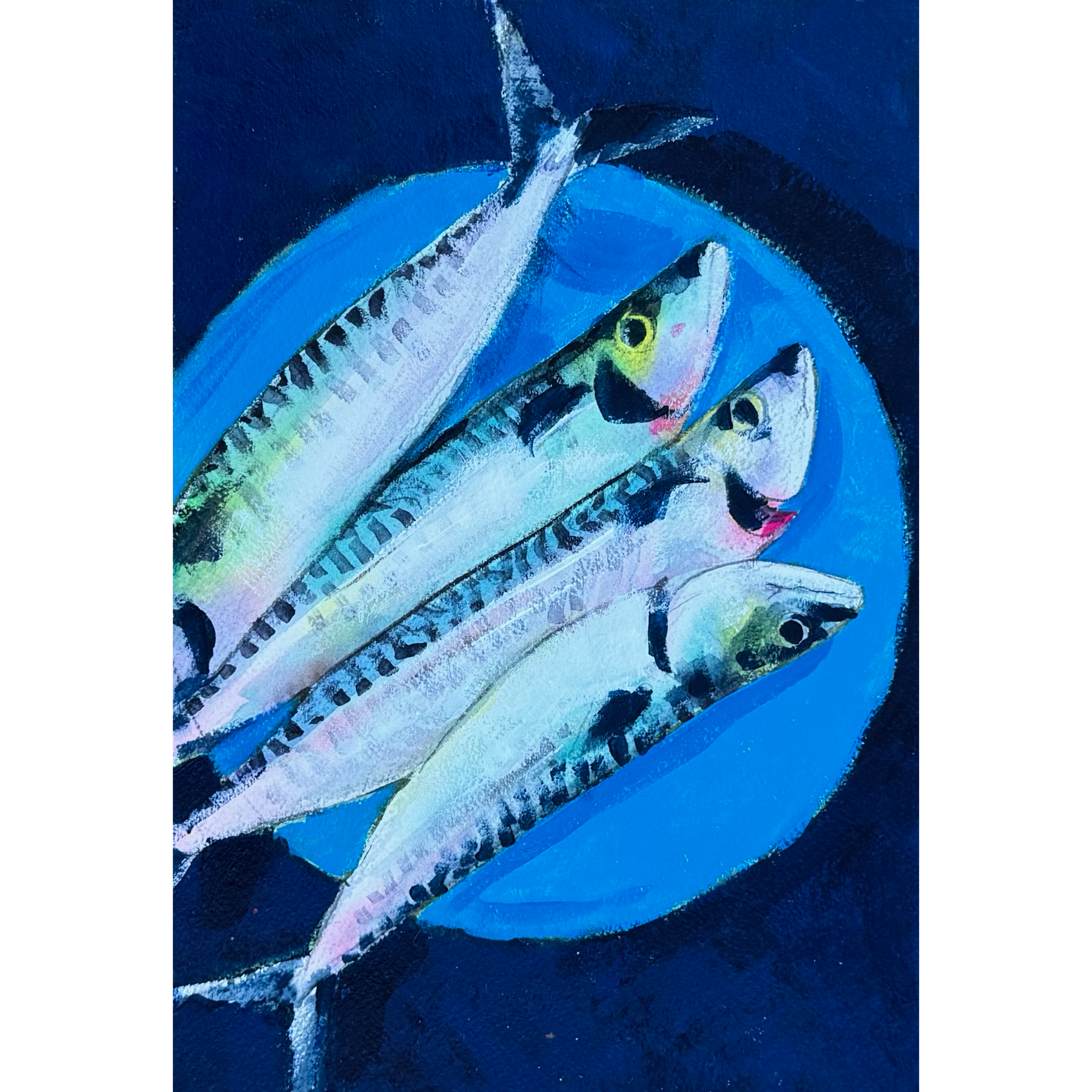Mackerel Daddy