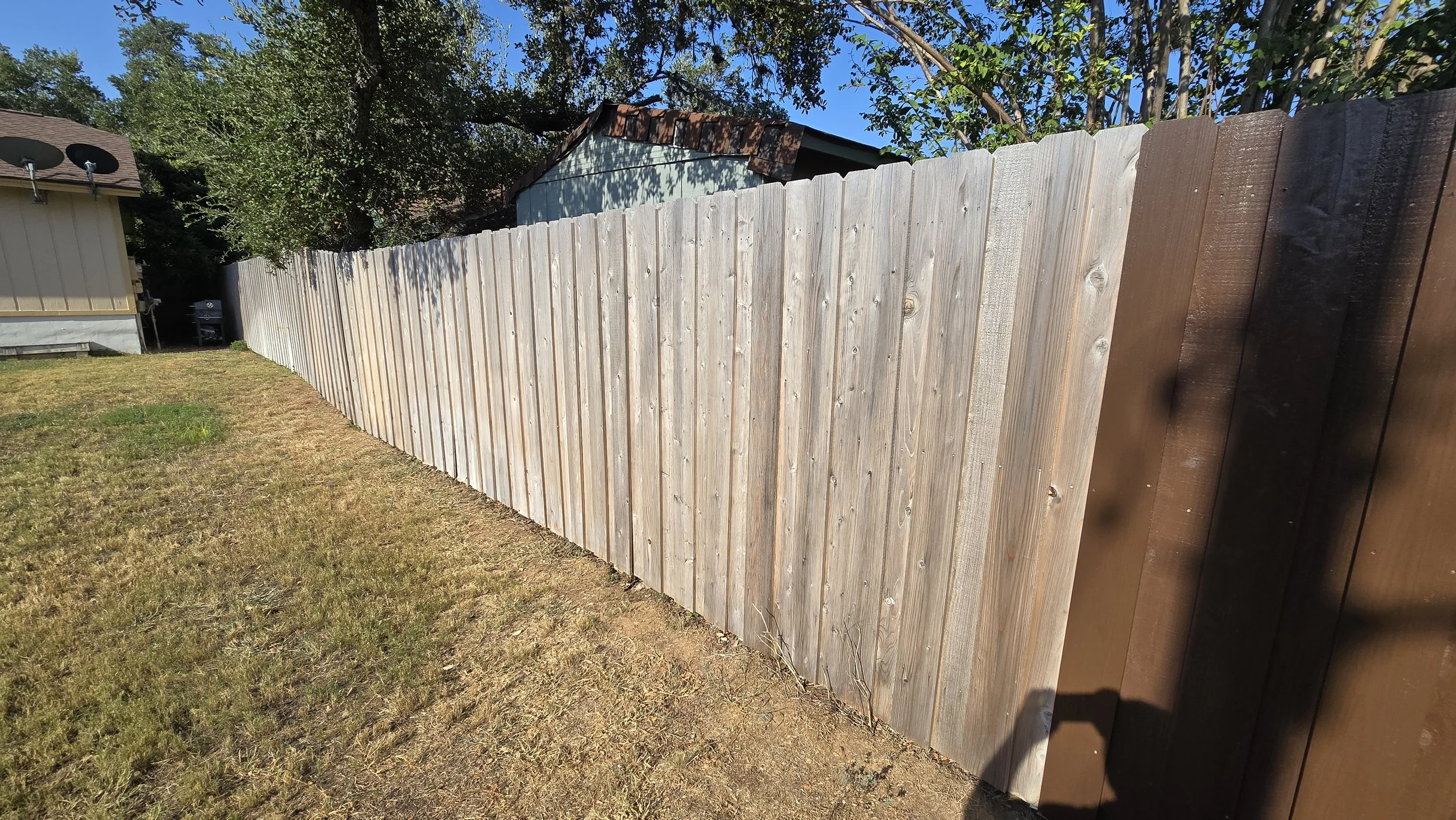 A long wooden fence in a backyard, with a grassy area in front and trees and a shed in the background, under a blue sky.
