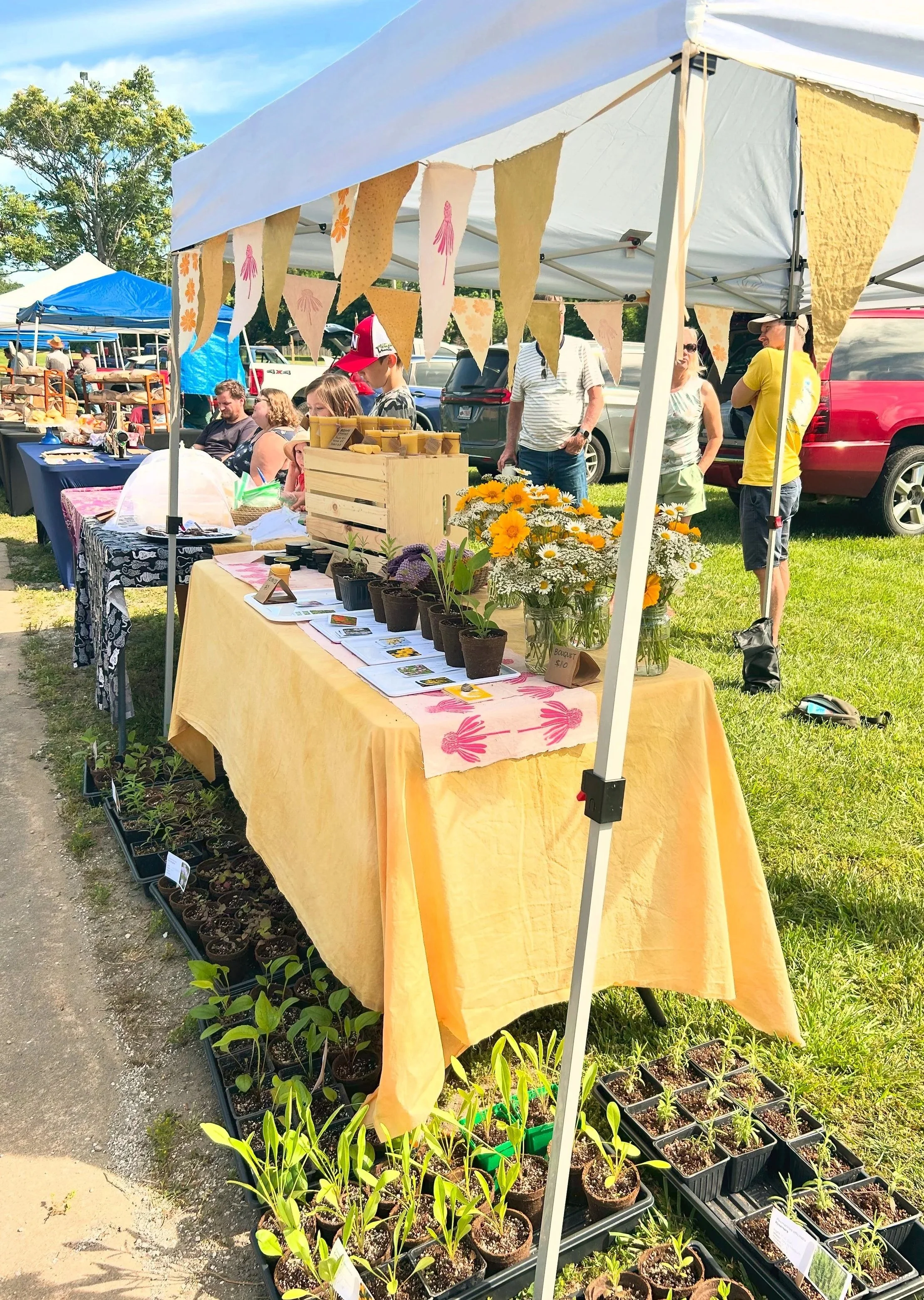 Thursday Mornings @ the Fayetteville Farmer’s Market 