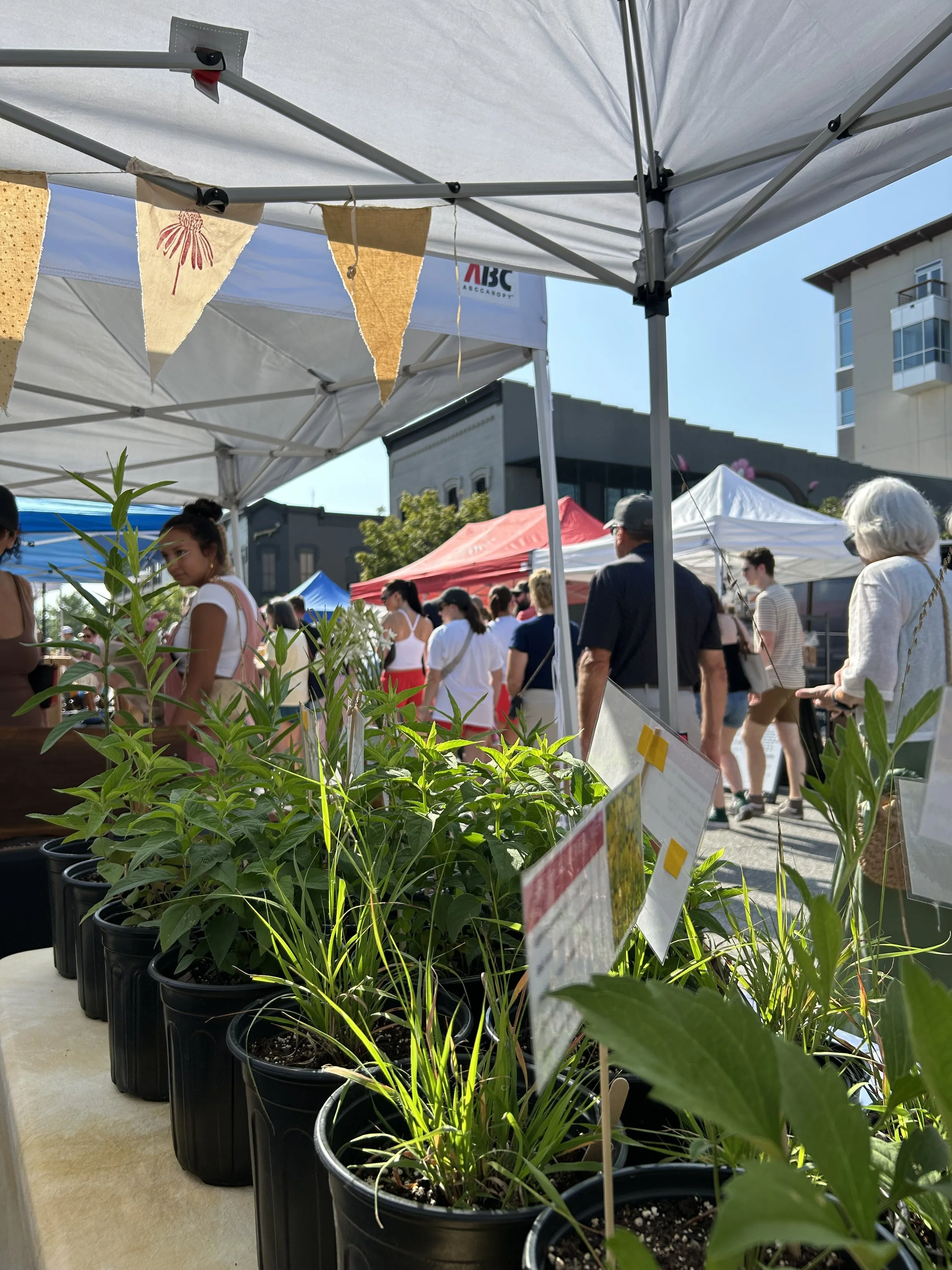 Fayetteville Farmer's Market - Thursday Morning 
