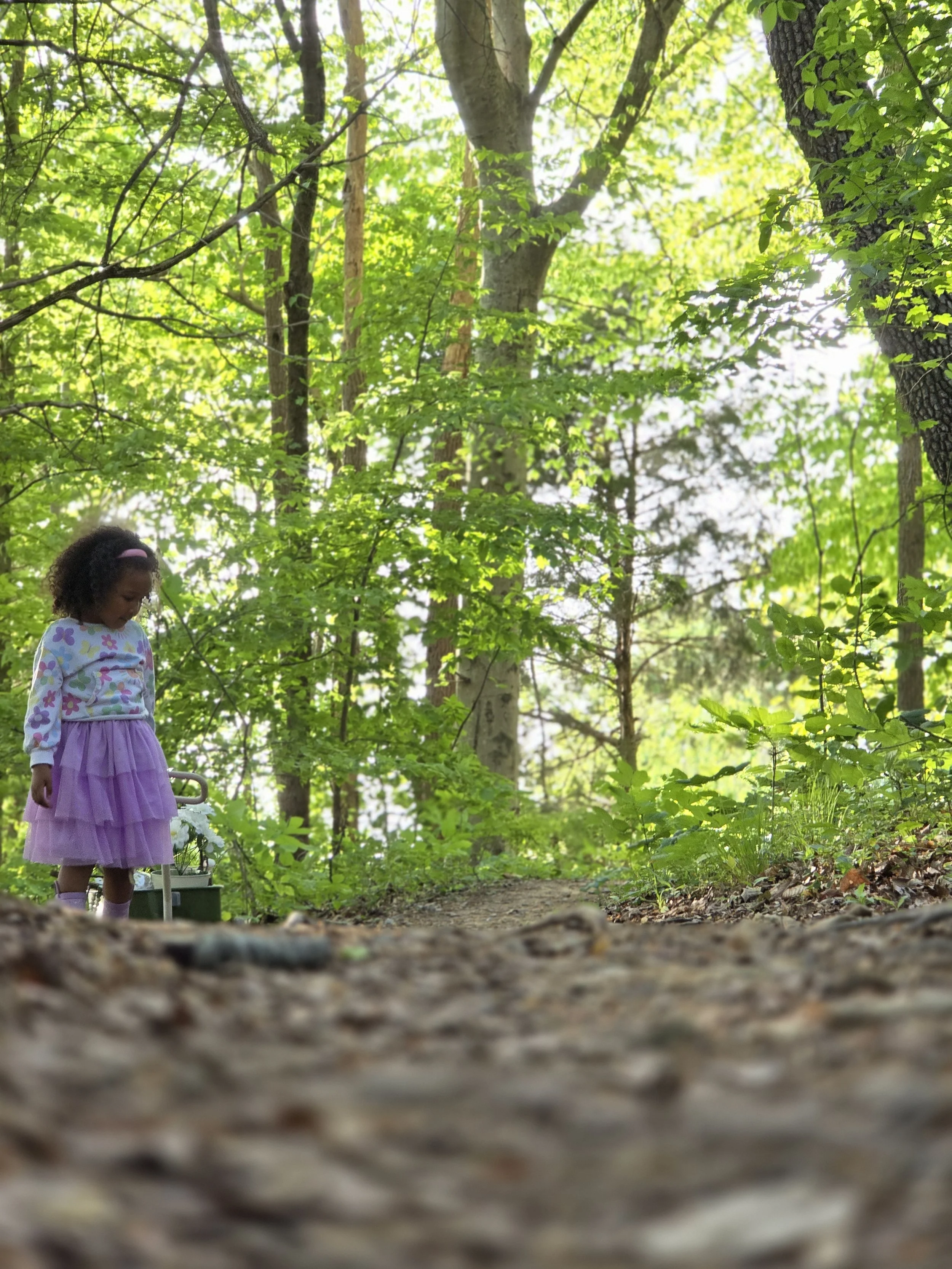 A young girl wearing a floral sweater and purple skirt standing on a wooded trail during daytime, with lush green leaves and trees surrounding her, and dirt and fallen leaves on the ground.