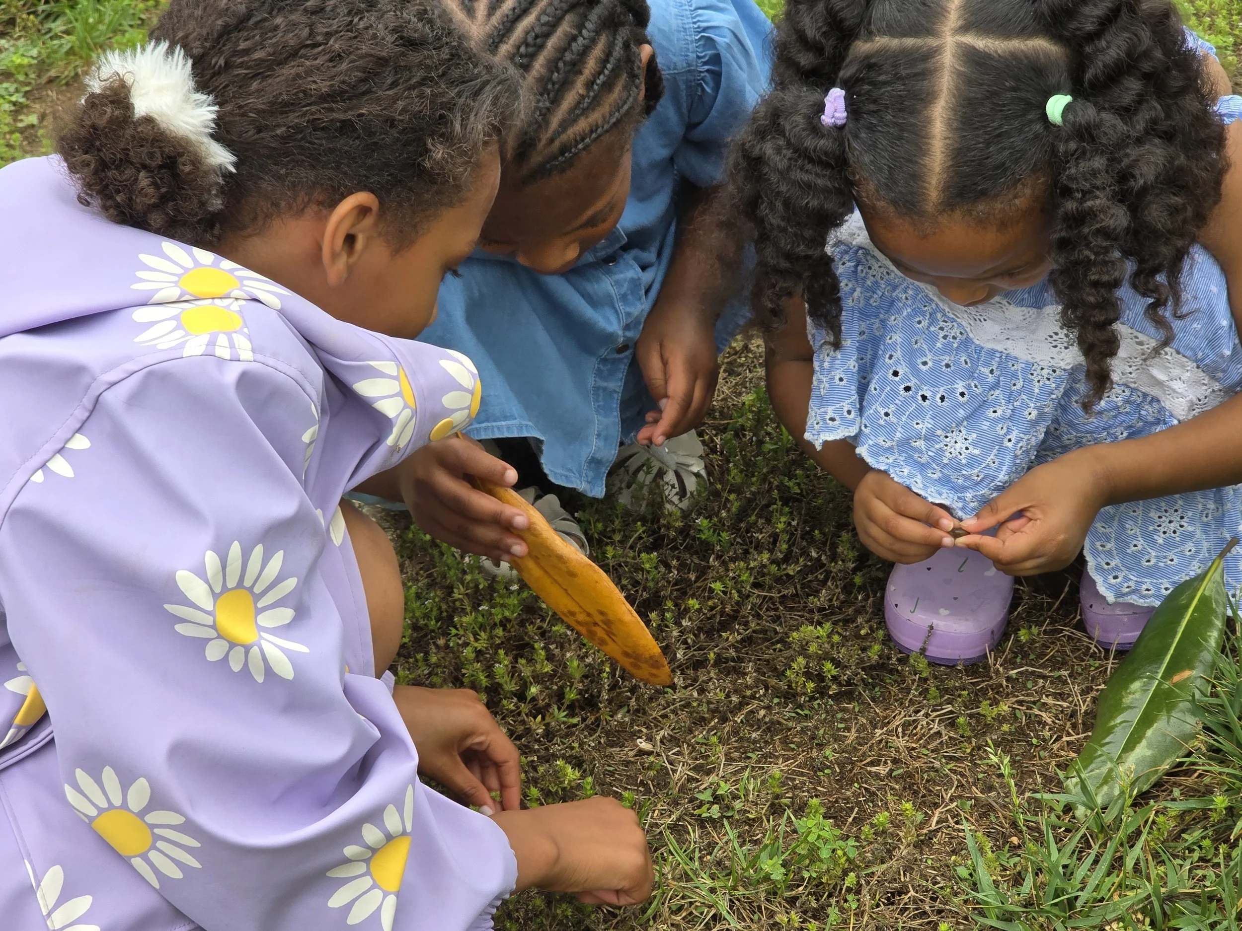 Three children with braided hair and colorful hair ties are crouching in a garden, closely examining the plants and holding a carrot.
