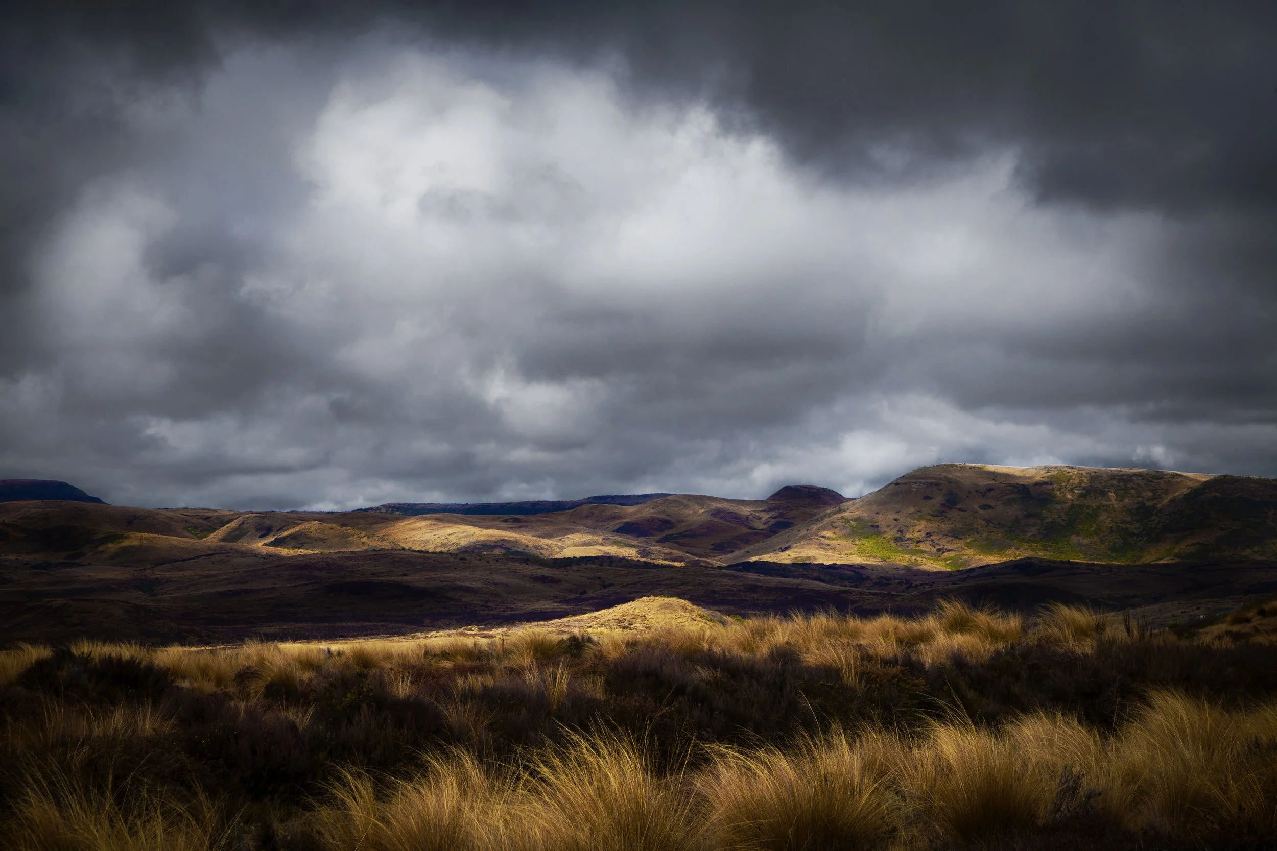 Tussock 1
