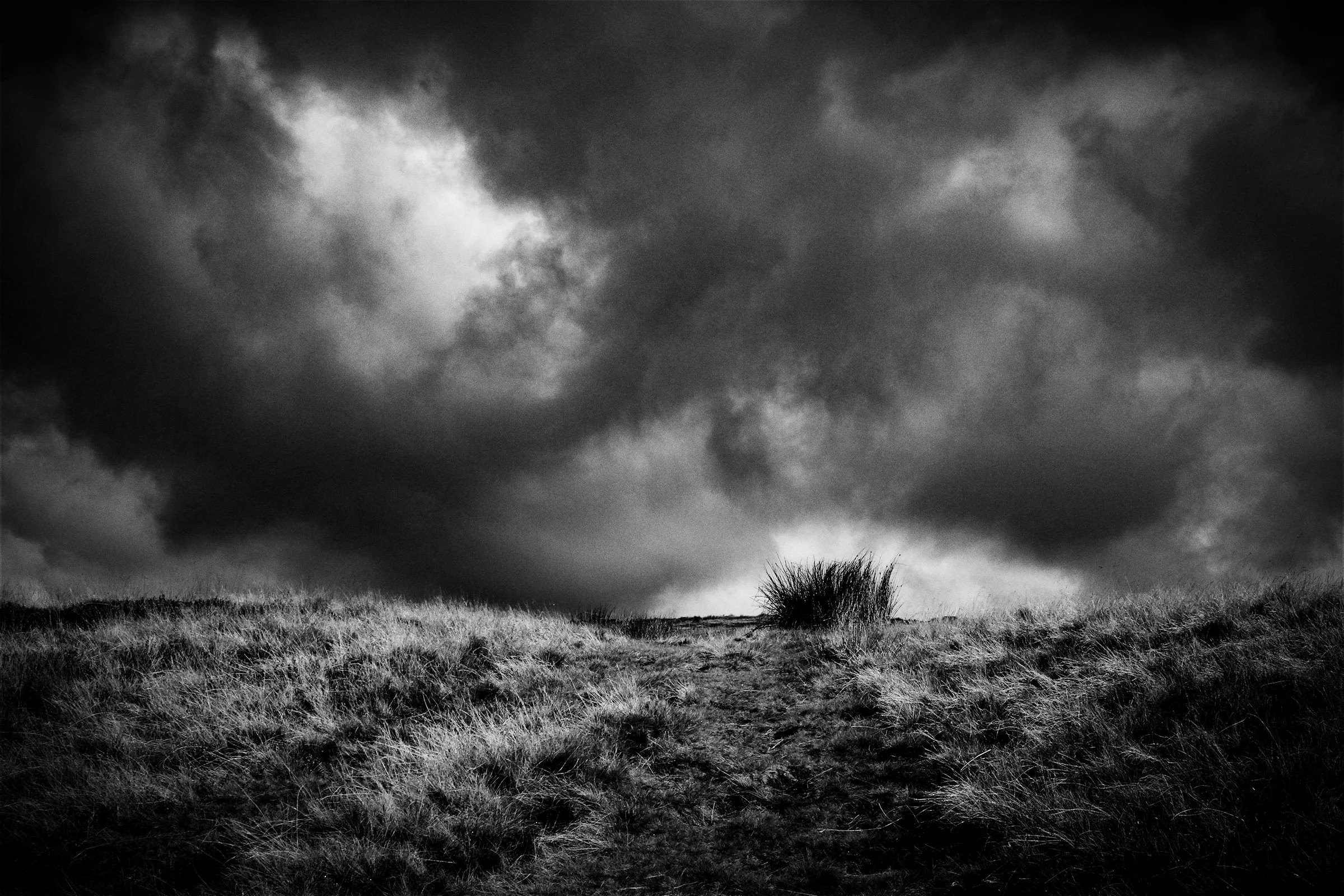 The Path