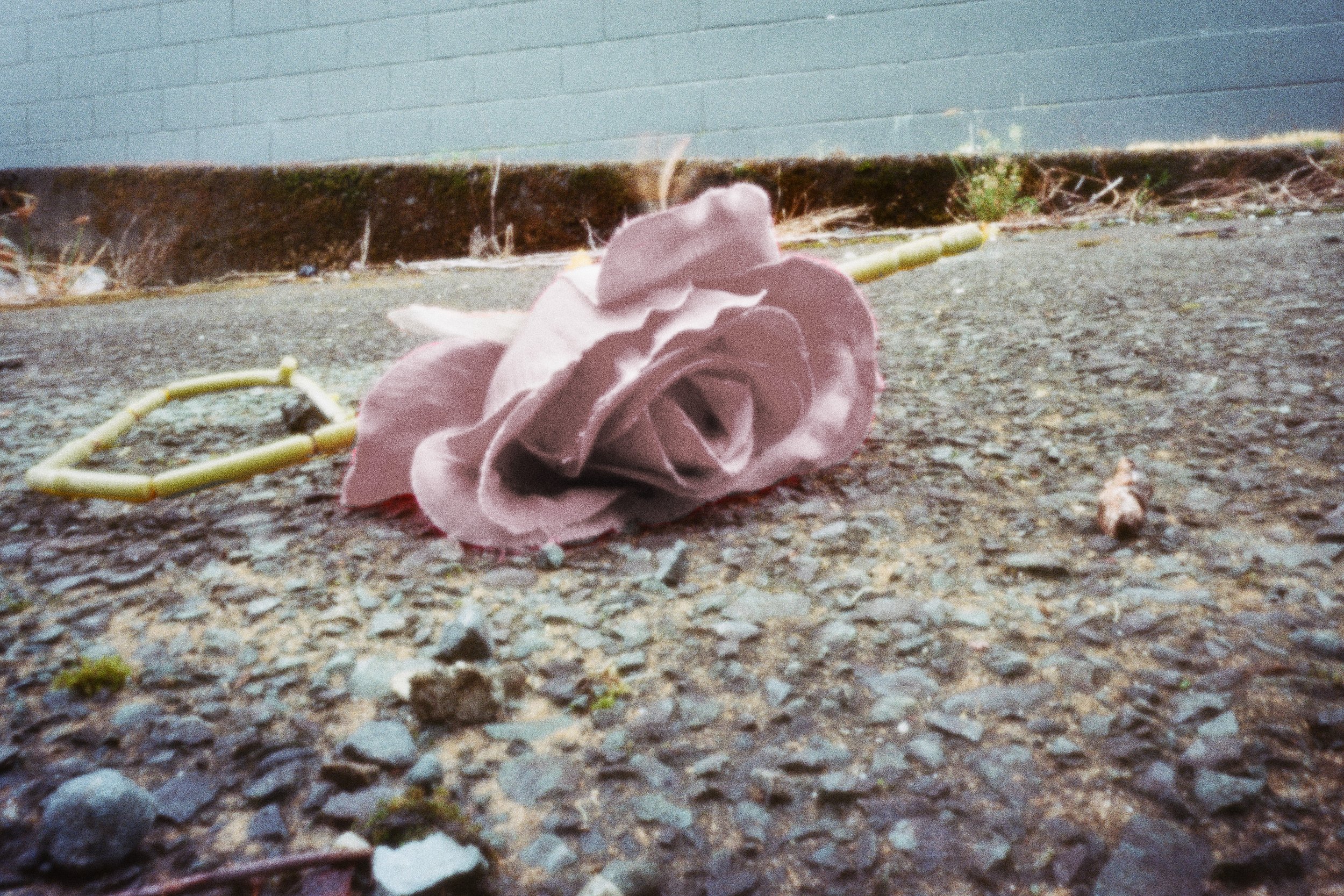 Discarded