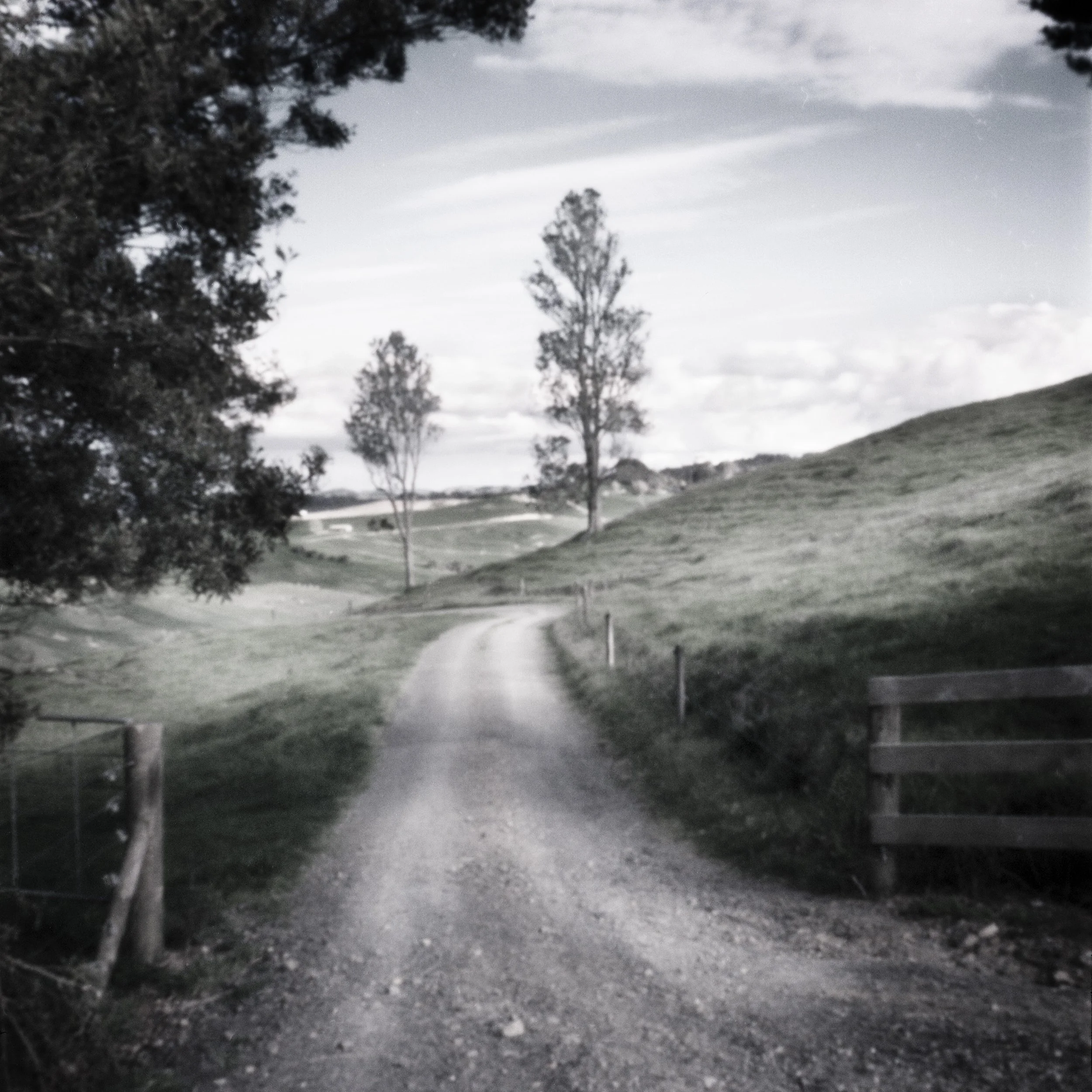 Driveway - North Waikato
