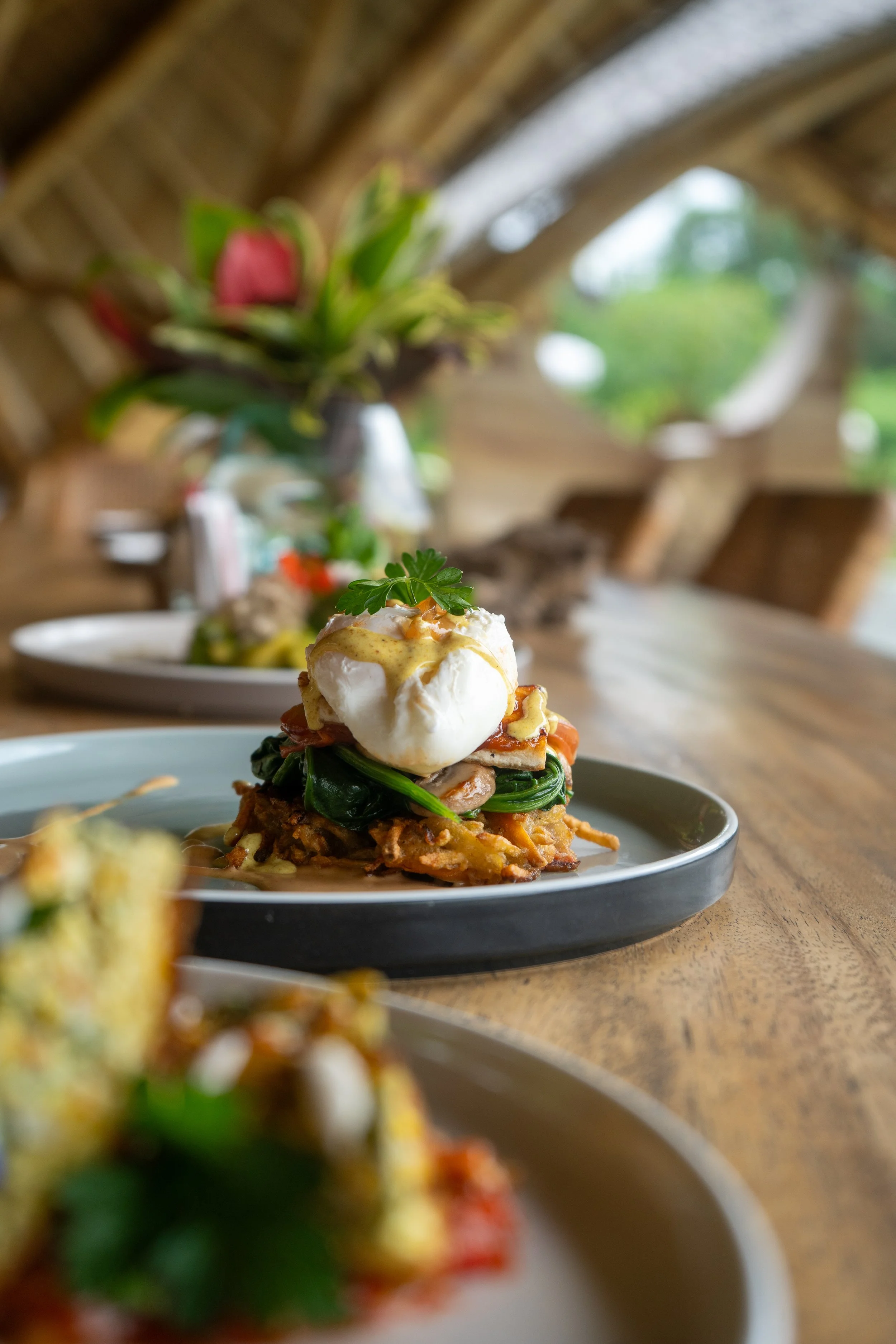 Close-up of a plated dish with a poached egg on top, garnished with a sprig of parsley, with a blurred background of flowers and a rustic setting.