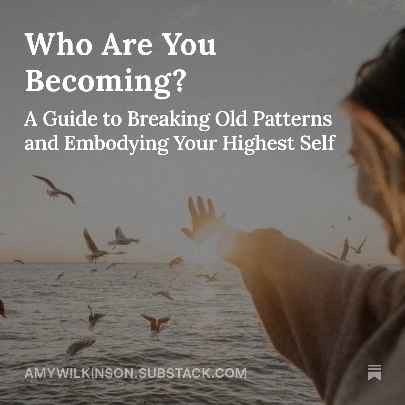 A person at the beach with their arm extended towards flying seagulls during sunset, with the ocean in the background and a cloudy sky.