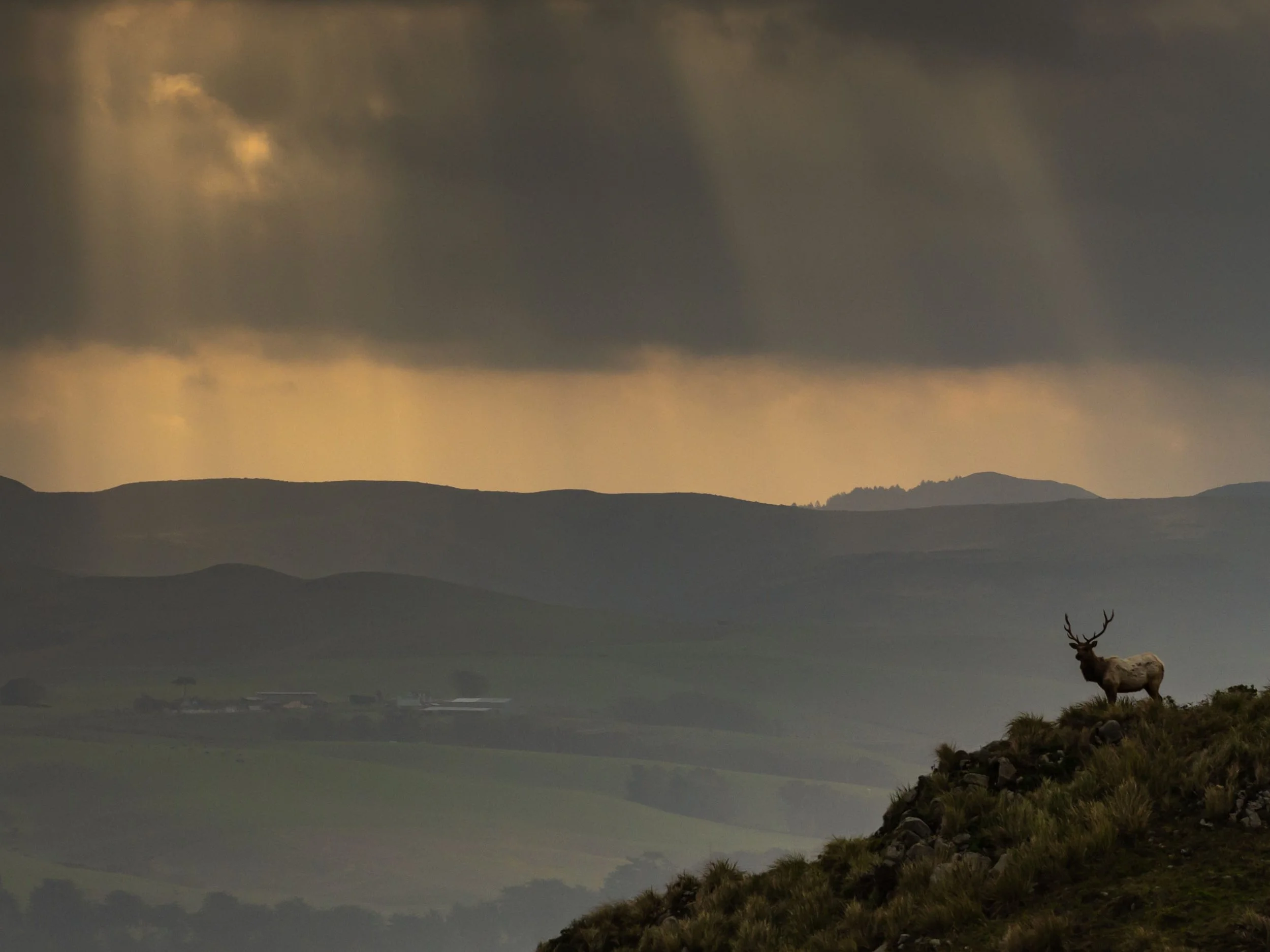 Between Shadow and Sun