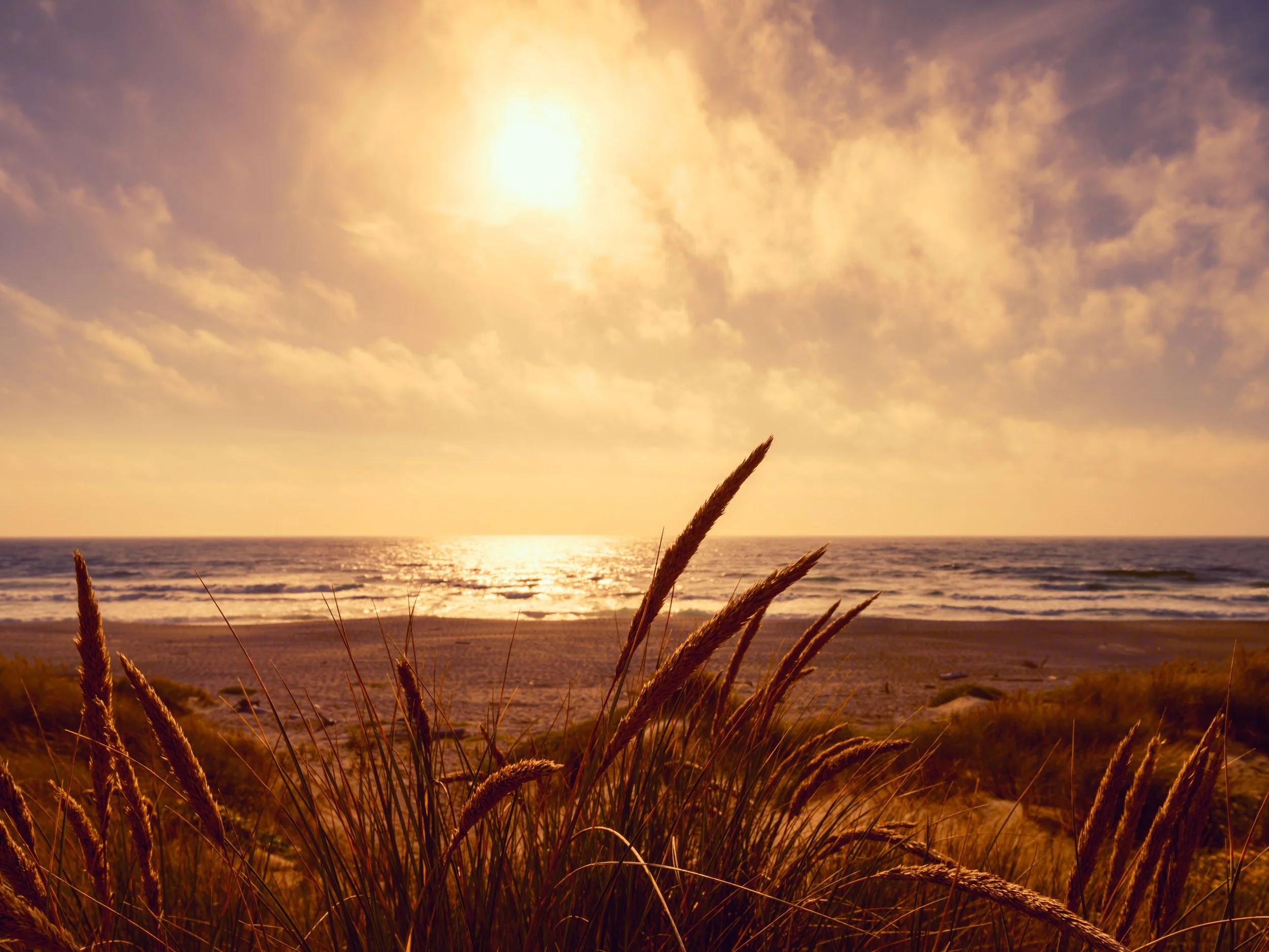 Where the Trail Ends