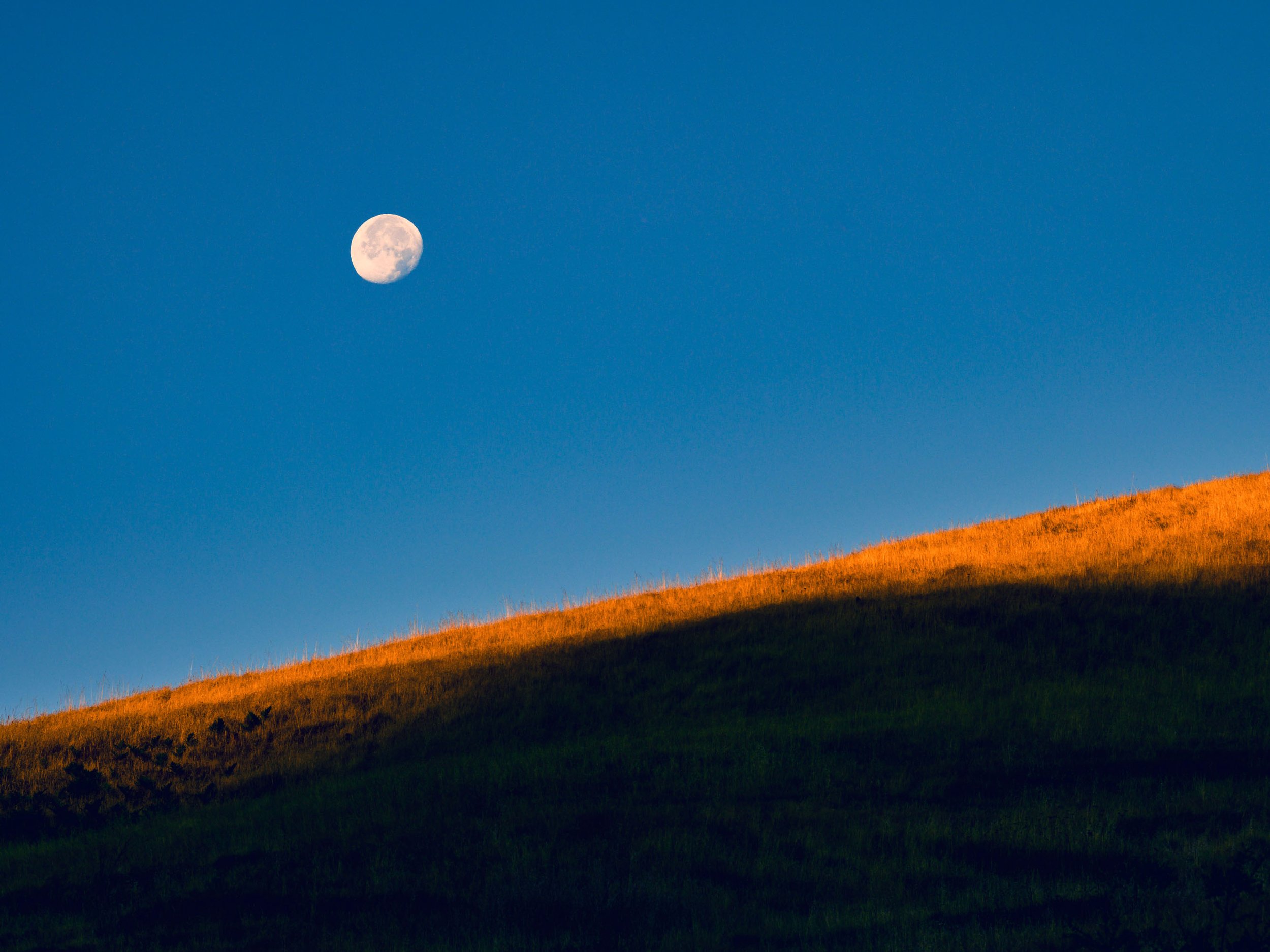 Moon Over Rocky Ridge
