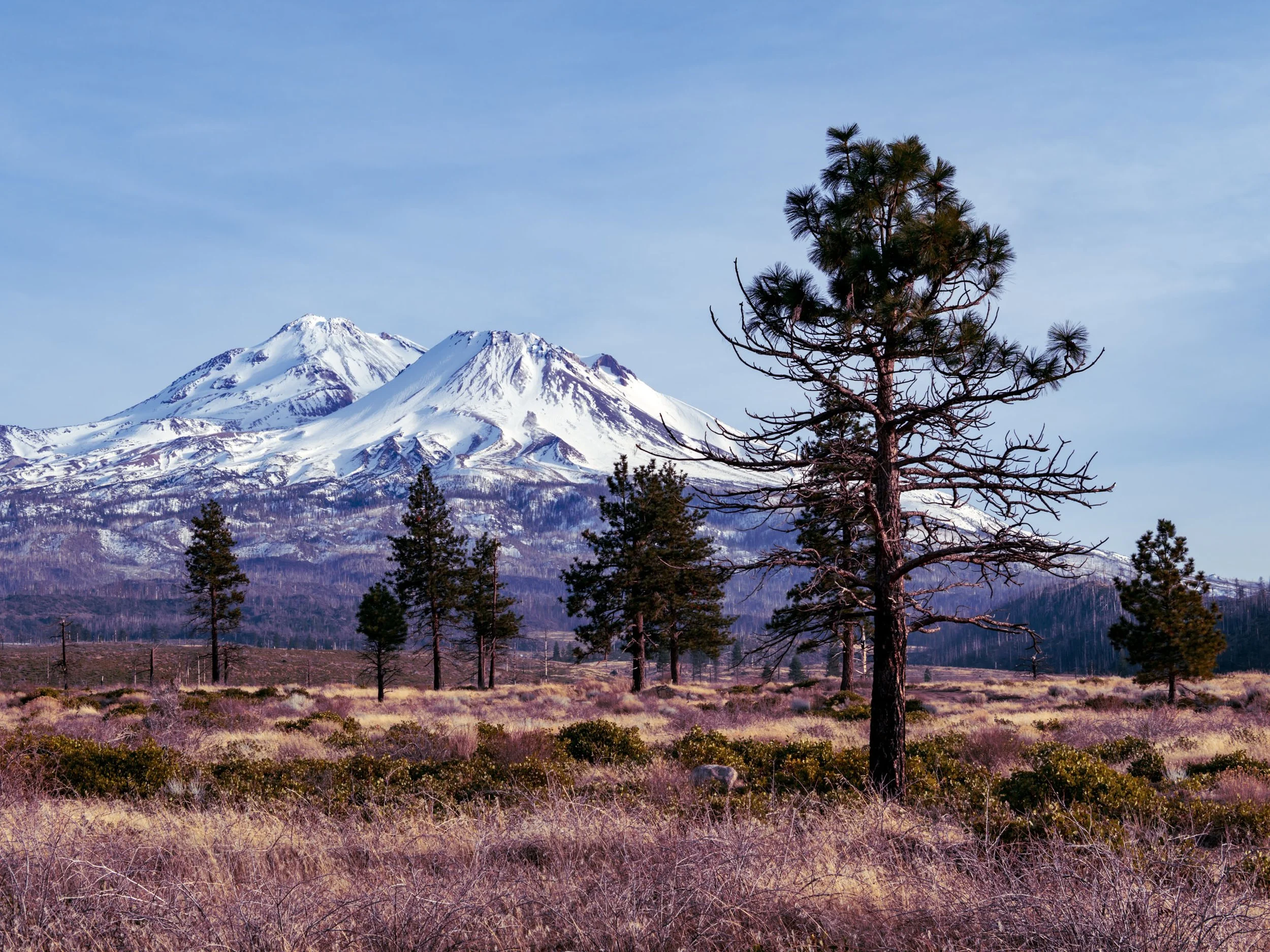 Approaching Shasta