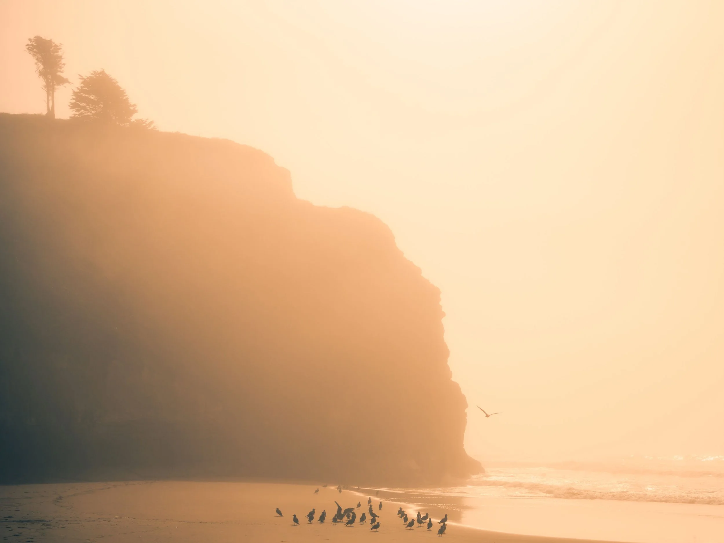 Gathered in the Light