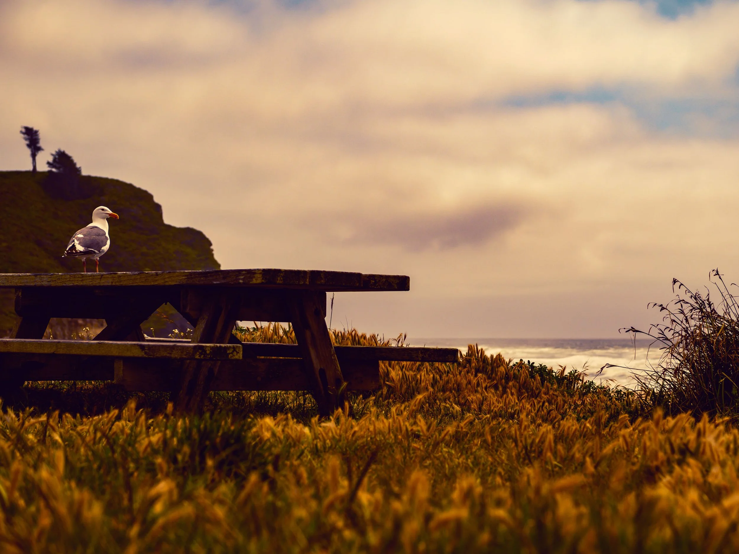 Reserved for Dreamers