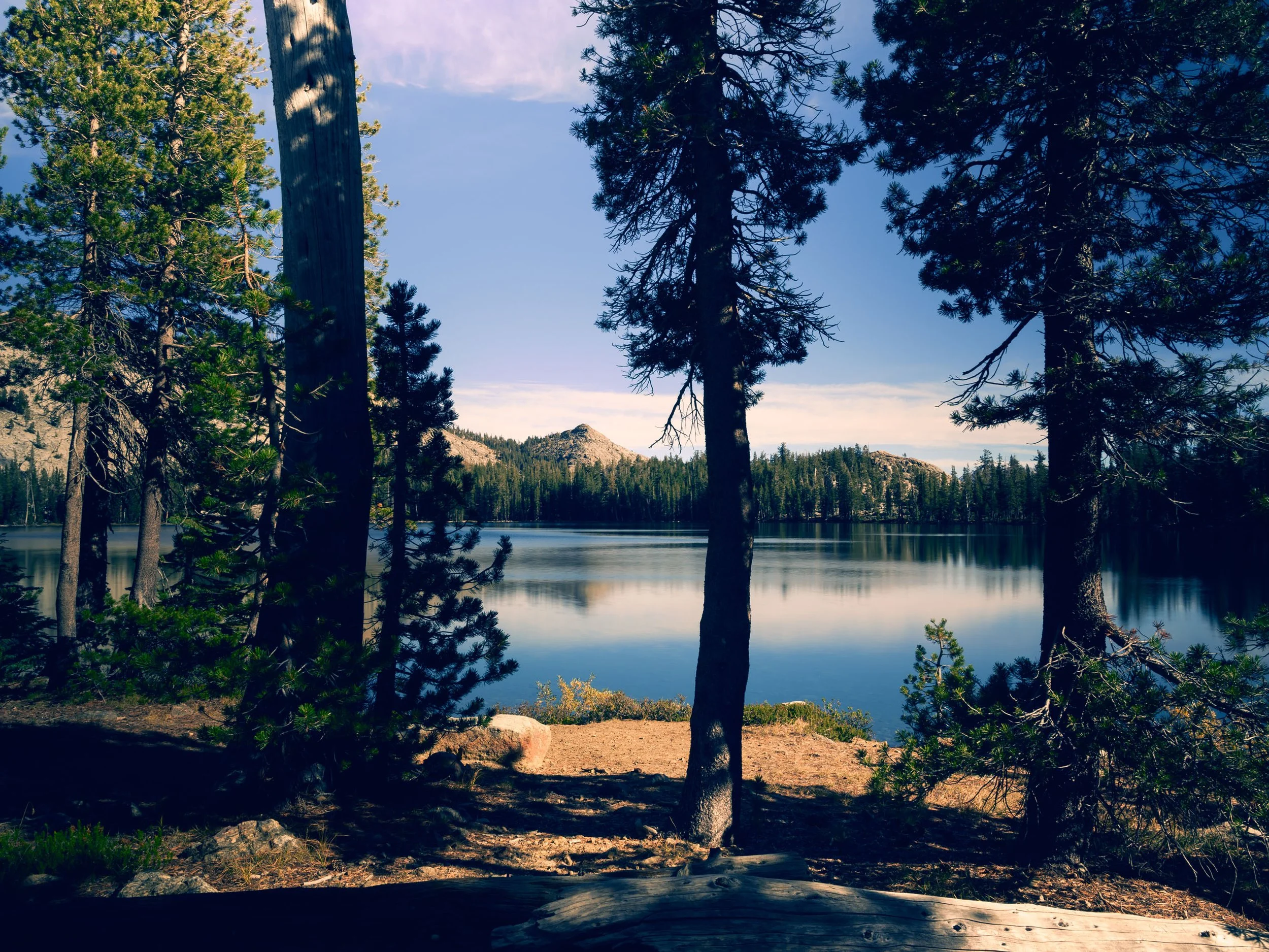 A Quiet Place to Breathe