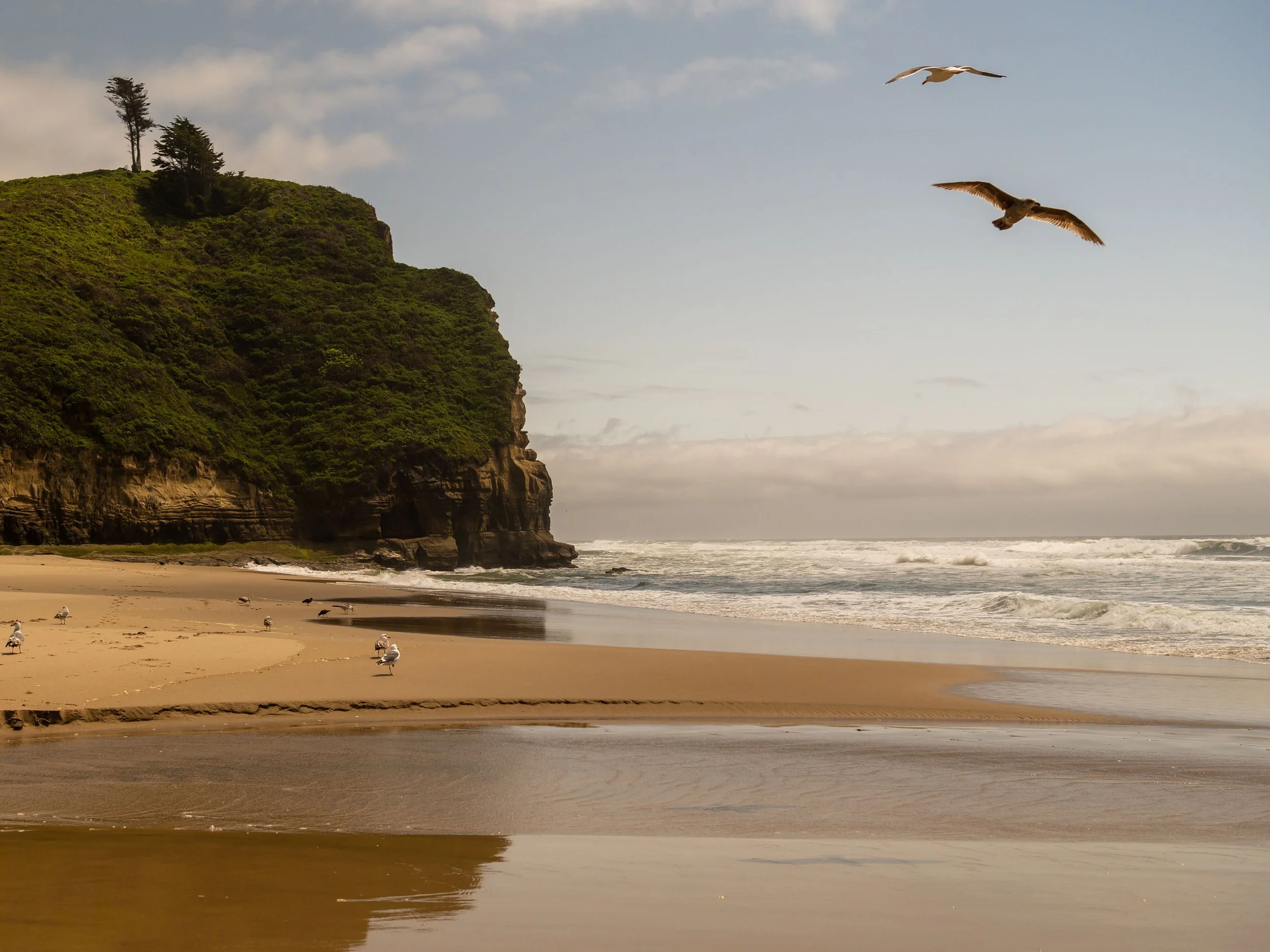 Where the Day Begins