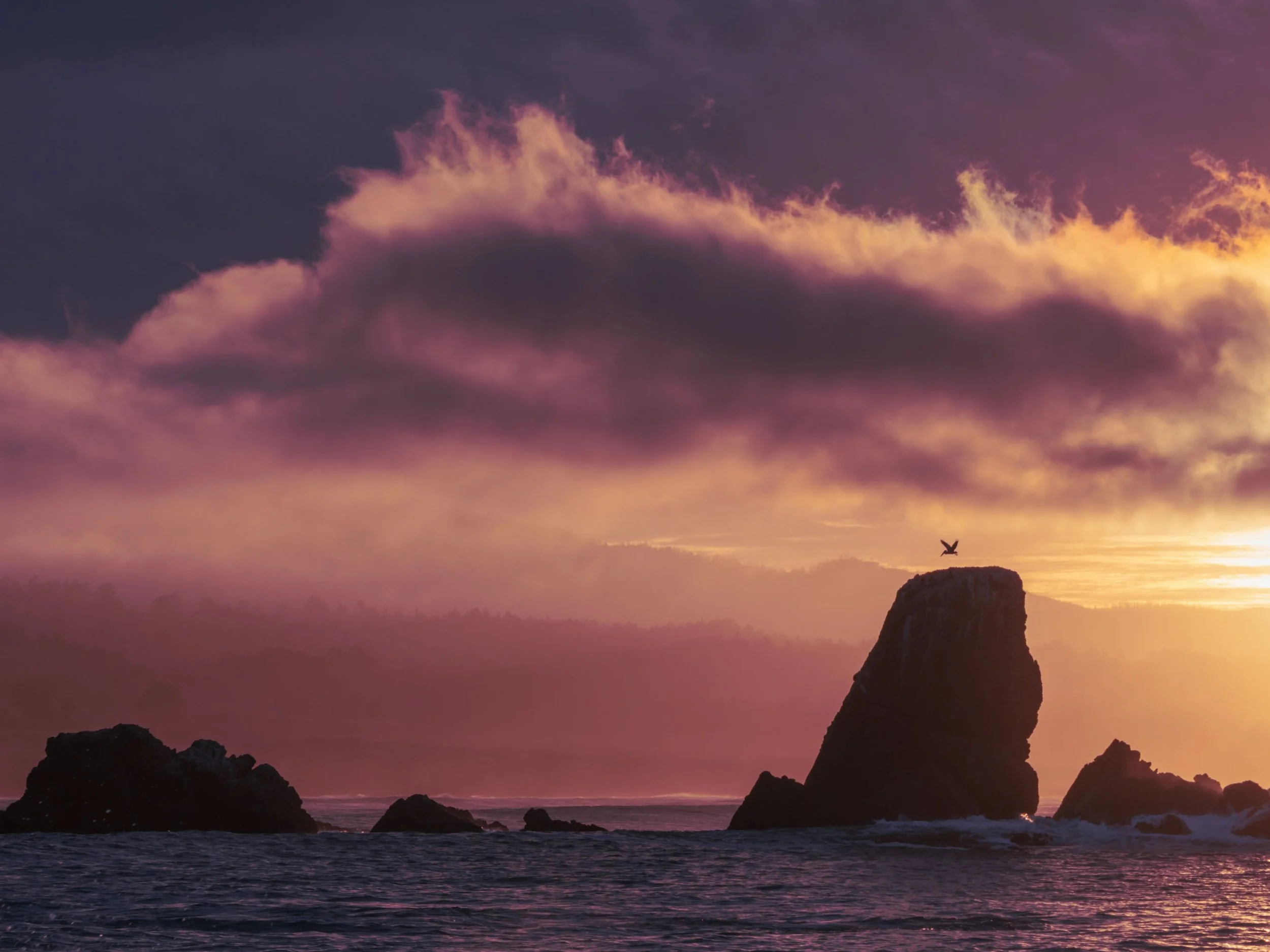 Morning at Whaler’s Cove