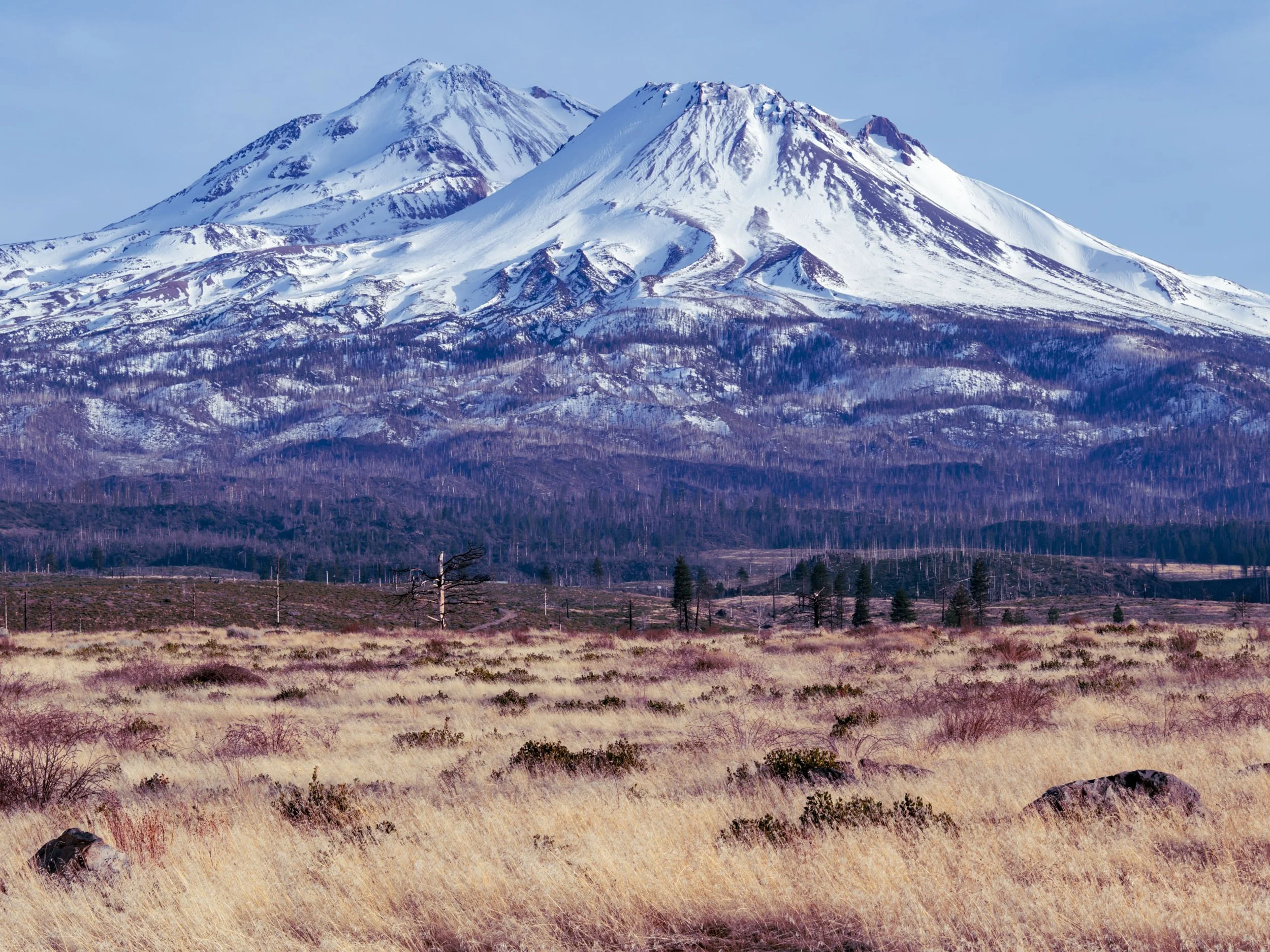 Mt. Shasta